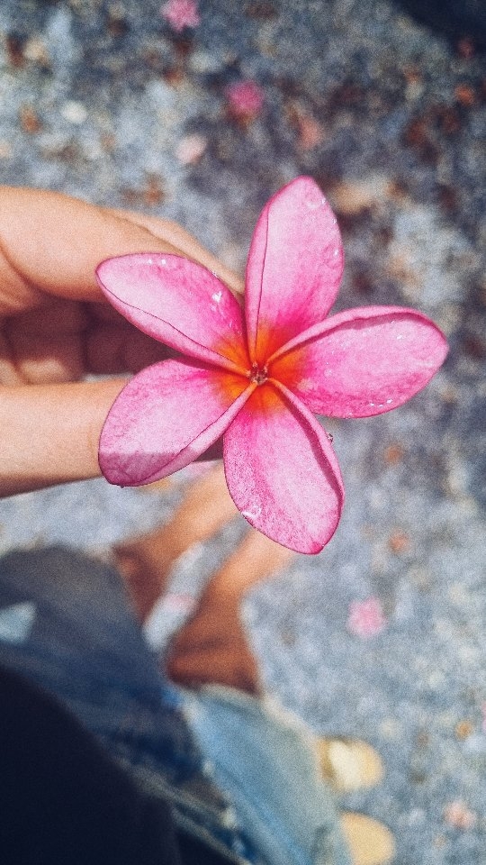 📖✨️ un pedacito de mi libro...
Alguna vez, escribiré solo un libro de poesías. Sí me da miedo y eso me emociona.
🫂Quiero agradecer toooodas sus palabras de amor y cariño que me han enviado en relación a lo que les compartí ayer.
Uds me emocioman mucho 🤍
#versos #nutrirelalma #comunidad #amor