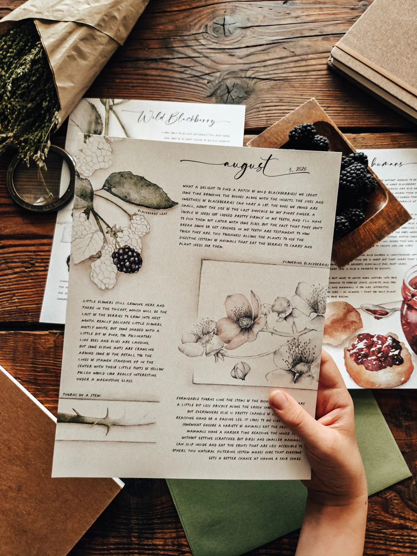 Who wants a gorgeous open and go nature study curriculum to land in their mailbox every month (along with a few hand-painted stickers)? 🙋🏽♀️
Click our Field Journals link to get yours on sale, but hurry - the sale only lasts for just a few more days.
➡️ swipe to the third photo to see my favorite painting.