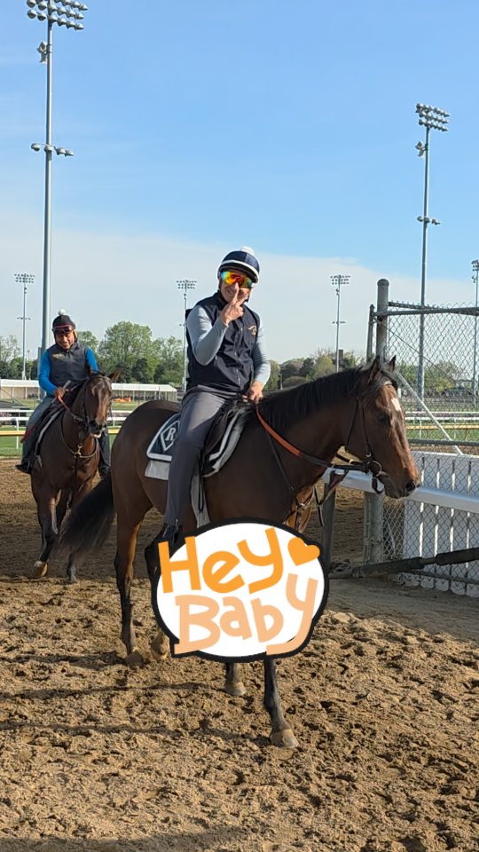 The babies (2yos) are arriving!