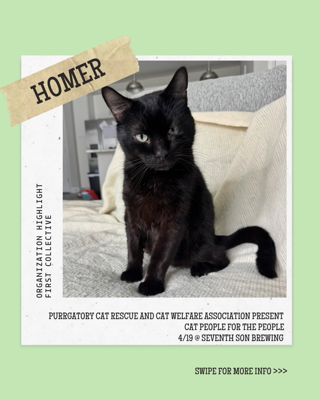 Organization Highlight!✨💚 Meet @firstcollective614! Come see them at Cat People For the People. 🐱
📍 @seventh_son_brewing
📆 Sunday, April 19th from 1p-5p