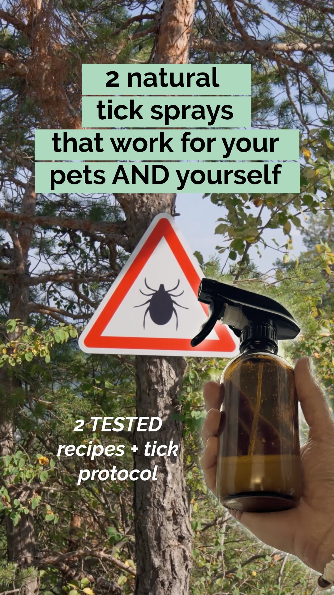 You’ve probably heard that ticks are a huge problem this season. In many countries there’s a bit of a panic going on. Yes. Ticks can be dangerous, for our pets...AND us. But please don’t cover your pets and yourself in DEET or other toxins, this will only weaken your pet and you.
I ditched toxic tick meds long ago, because they are really harmful to our pets. A study proved that the Seresto collar alone has killed over 1700 dogs in 1 year in the USA. Most store-bought tick solutions are VERY toxic. And petting your dog or cat, will transfer those toxins from their fur to your skin!
For me, chemical pills, sprays, drops and collars are not an option. But I don’t want my dog to get sick, or get Lyme or Alfa Gal myself either.
Last year I tested 2 natural tick sprays. Both worked!!!
Comment TICK if you like to receive both recipes and food tips in your DMs.
The 2 DIY sprays are
✅100% natural
✅No overwhelming scent (like a lot of natural sprays have) to irritate my dog (especially recipe 1)
✅Not harmful to pets and humans
✅WORK! (tested by me and our dog last tick season)
⚠️ Important:
No tick product will offer a 100% guarantee. So I still :
☑️check my dog and myself after every walk
☑️add garlic or organic apple cider vinegar to my dogs meal and use it in almost all of our meals
☑️wear protective clothing when in nature (long trousers, socks and long sleeves)
👉Be careful, be aware and act in harmony with nature.
We’ve got this!
Drop a 💚 if you like more recipes like this, and consider following met if you love living life naturally
#naturaltickspray, #ticks #nontoxictickspray #naturalremedies #petfriendly