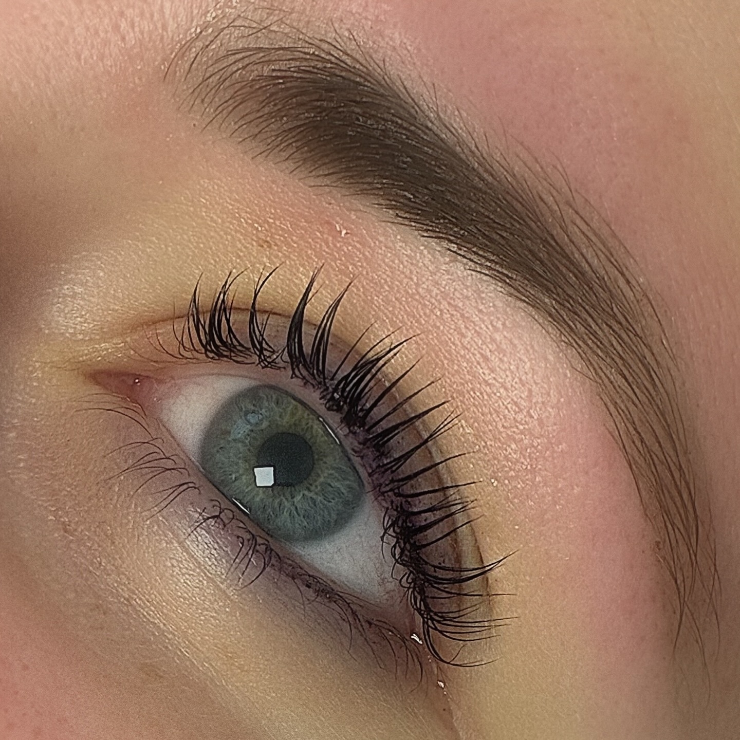 Close up of this pretty lash lift and tint and eyebrow tidy 😍🥰
#lashlift #eyelashlifting #lashtreatment #beautyinspo #beautynorwich