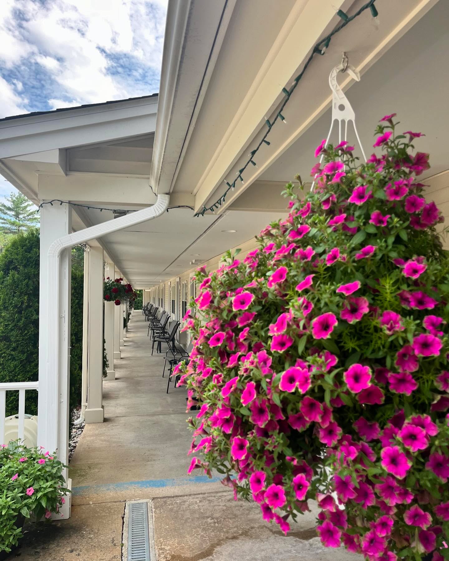 Adding a pop of color to your vacation 🌺 The valley is in full bloom 🌅 visit today!
#visitmwv #visitnh
Book Us Today!
Call 📞 603-383-9680
Or
Go to ➡️ www.goldenappleinn.com
