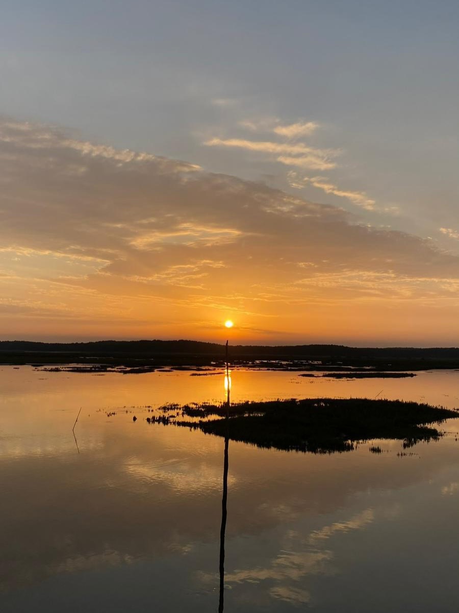Il y a des endroits qu’on ne visite pas.
On y revient 🐚
À L’Herbe, le temps ralentit.
Le bruit disparaît.
Il ne reste que la lumière, le calme… et l’essentiel.
À quelques pas du Bassin, entre pins et cabanes ostréicoles, la villa s’efface pour laisser place à une sensation rare : celle d’être exactement là où il faut.
Un lieu que l’on garde pour soi. ✨
#CapFerret #LHerbe #BassinArcachon #villaluxe #VillaException