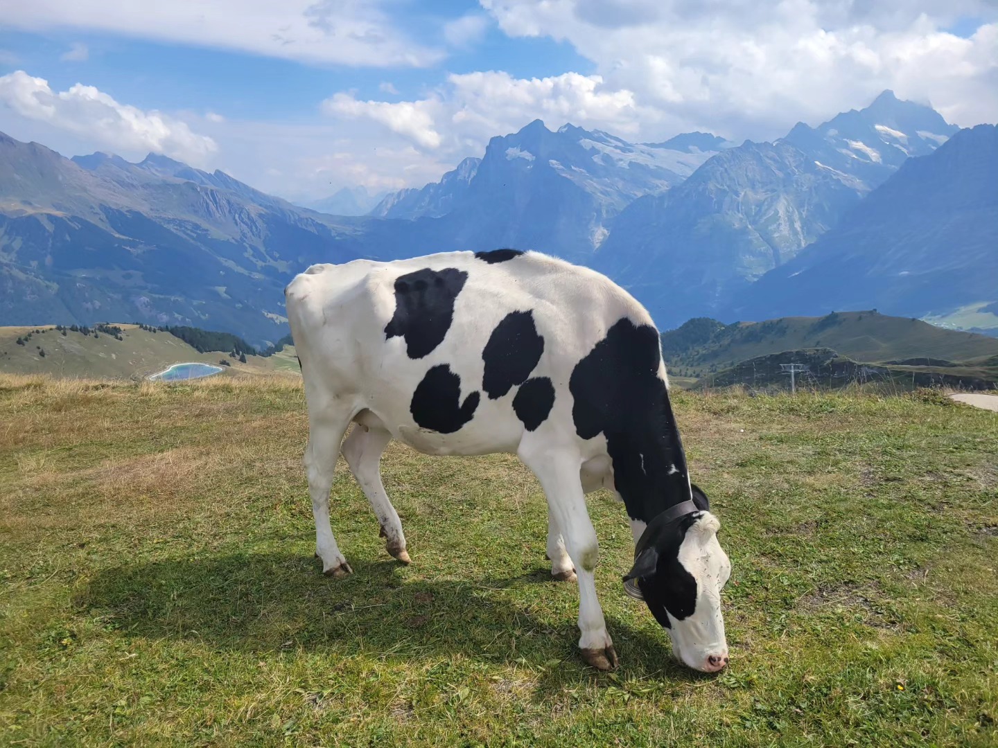 Beautiful hiking? โ
Amazing food? โ
Tons of history? โ
Check out our latest itinerary for an epic 10 day adventure through Switzerland and Italy! From the beautiful Alps to the waters of Lake Como, this itinerary has something for everyone. Link in bio ๐
.
.
.
.
.
#travel #twogirlsgetaway#travelblogger #travelphotography#travelholic #gltlove #glt #dametraveler #girlswhotravel #sheisnotlost #travelgirl #travelfeature #switzerland #italy #lakecomo #alps #iamtb #wearetravelgirls #wonderful_places #huntgram