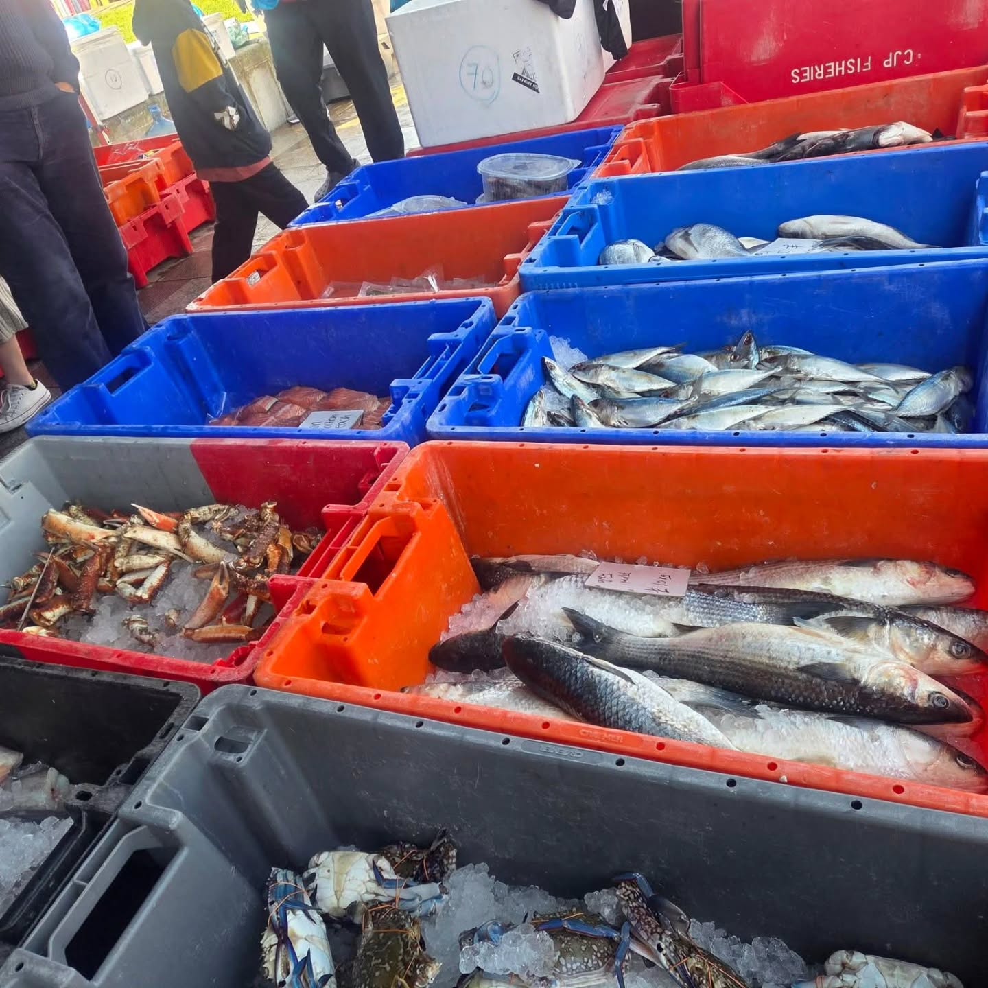 Weather Update for Wednesday 🌬️
We’re keeping a close eye on the forecast for this Wednesday, as wind gusts are currently predicted to reach around 32mph.
We are exploring a few alternative options, including potentially reducing trading hours or changing the day, but these do take a bit of coordination behind the scenes.
That said, Fish Guy and a few other traders who are able to operate from their vans will still be in Weston on Wednesday from around 830am until midday, so you don’t miss out on picking up your weekly fish 🐟
Please keep a close eye on our social media for updates as we’ll confirm plans as soon as we can.