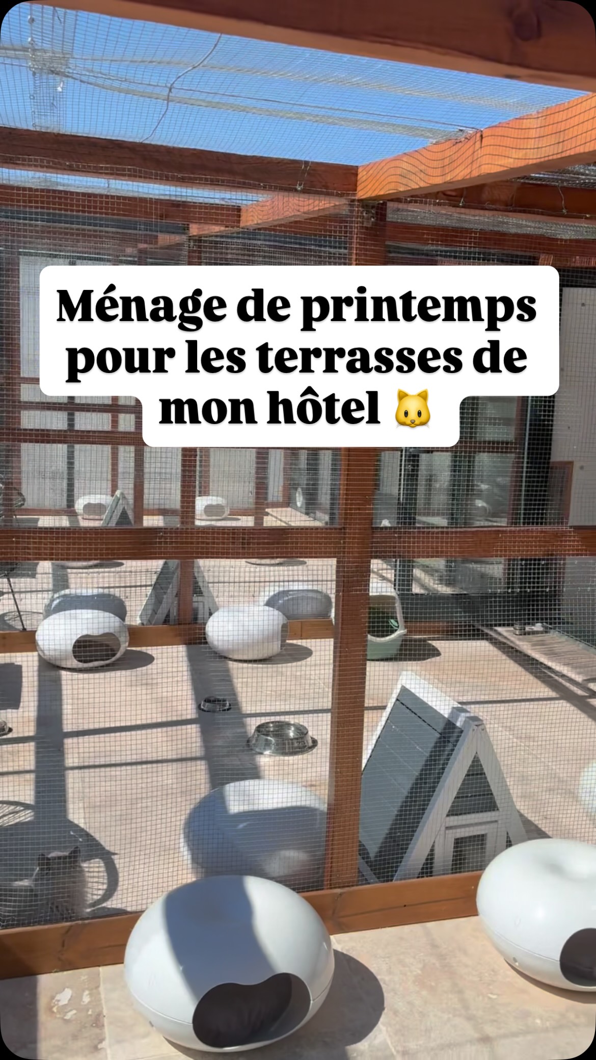 Un bon coup de propre avant la saison chez la Récré du chat pour que vos Minets puissent profiter des terrasses 🐈
#pensionpourchats #larecreduchat #aixenprovence #hotelpourchats #cat