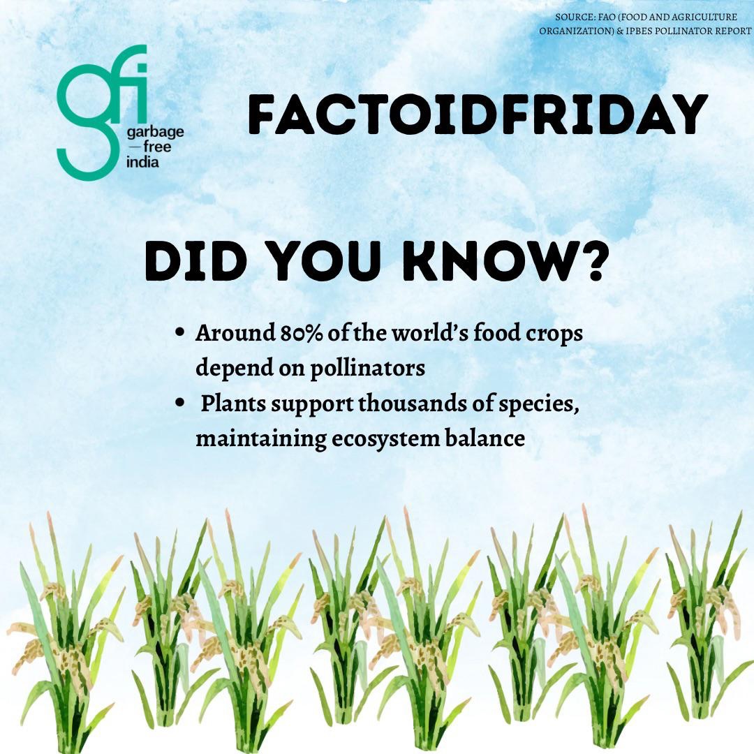 Tiny creatures, massive impact
From bees and butterflies to birds and bats pollinators keep our ecosystems alive and our plates full
Nearly 80% of food crops depend on them, yet their populations are declining due to habitat loss and pollution.
Let’s act:
Plant native flowers | Say no to pesticides | Protect green spaces
Because protecting pollinators = protecting our future
#FactoidFriday #Pollinators #Biodiversity #Plants #ClimateAction NatureMatters