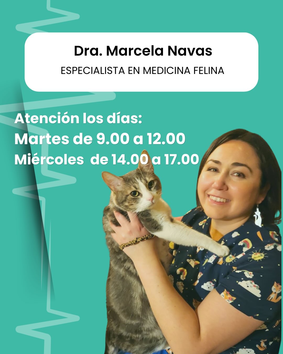 🐈🐈⬛ La medicina felina es una área dinámica y compleja. Se requiere de profesionales especializados para comprender a nuestros gatitos, su sintomatología y los mejores tratamientos.
.
📌 Agenda tu hora con la Dra. Marcela Navas, reconocida experta, muy querida por sus pacientes.
.
#gatos
#michis
#veterinaria
#ñuñoa
#medicinaveterinaria