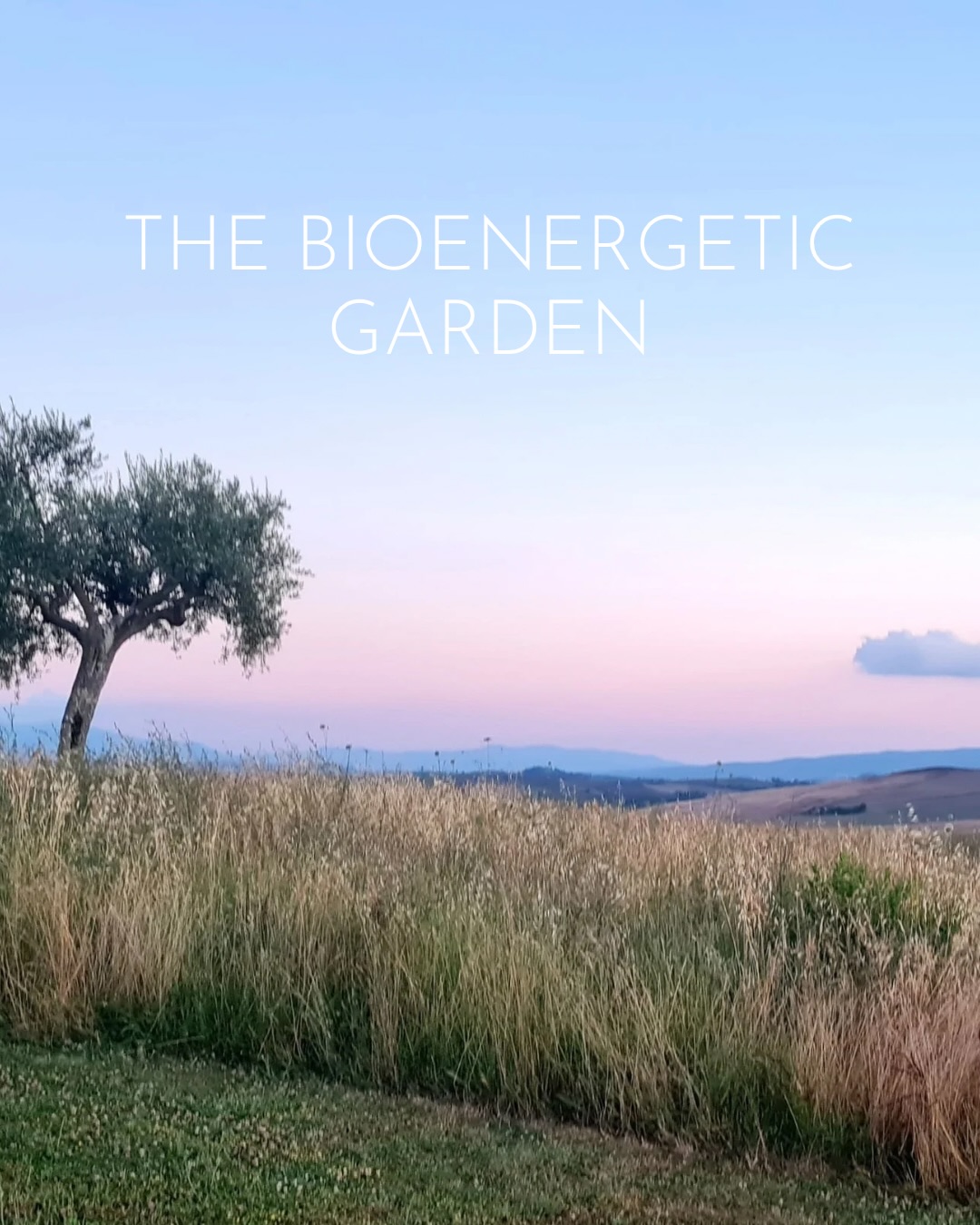Have you ever felt how certain places shift something inside you?
Your breath slows down.
Your body softens.
Your thoughts become quieter.
A garden that feels alive.
Trees that seem to hold you.
A landscape that opens your view — and your mind.
L’Oliveto is surrounded by a special energy.
There are places meant to be discovered.
Not just with your eyes, but with your senses.
They invite you to slow down, to settle, to expand,
and to return to a more natural rhythm.
Across the property, there are nine energy points.
Each offering its own invitation to pause, rest, and reconnect.
Here, every day feels like an immersion
to your own senses. 🌿✨
Come and experience it yourself.
#SlowLiving #RetreatInNature #RetreatVenue