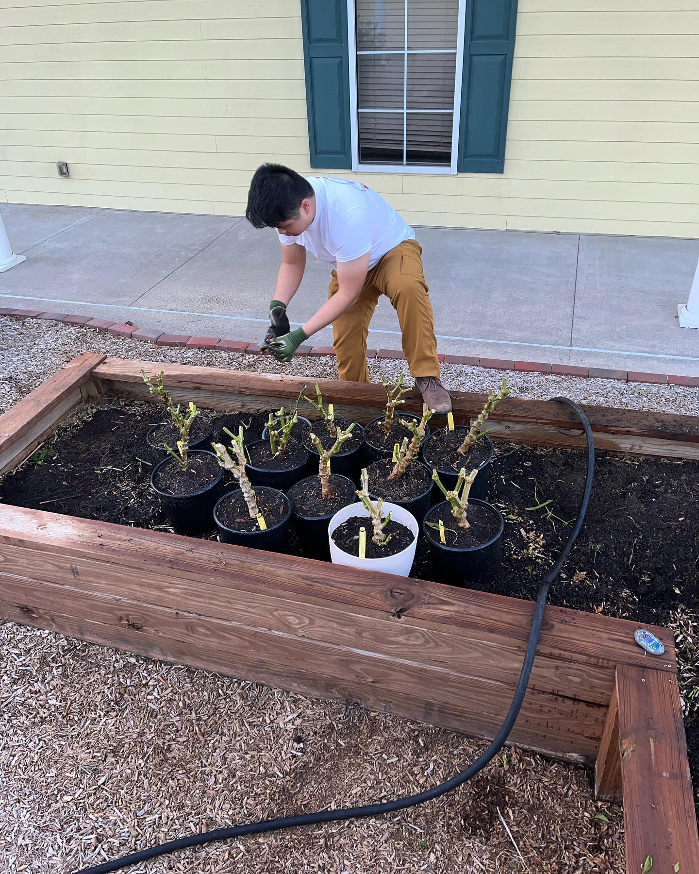 Our garden manager and volunteer coordinator have been hard at work making improvements to the garden! We now have a beautiful shed for storage 🌱🌱