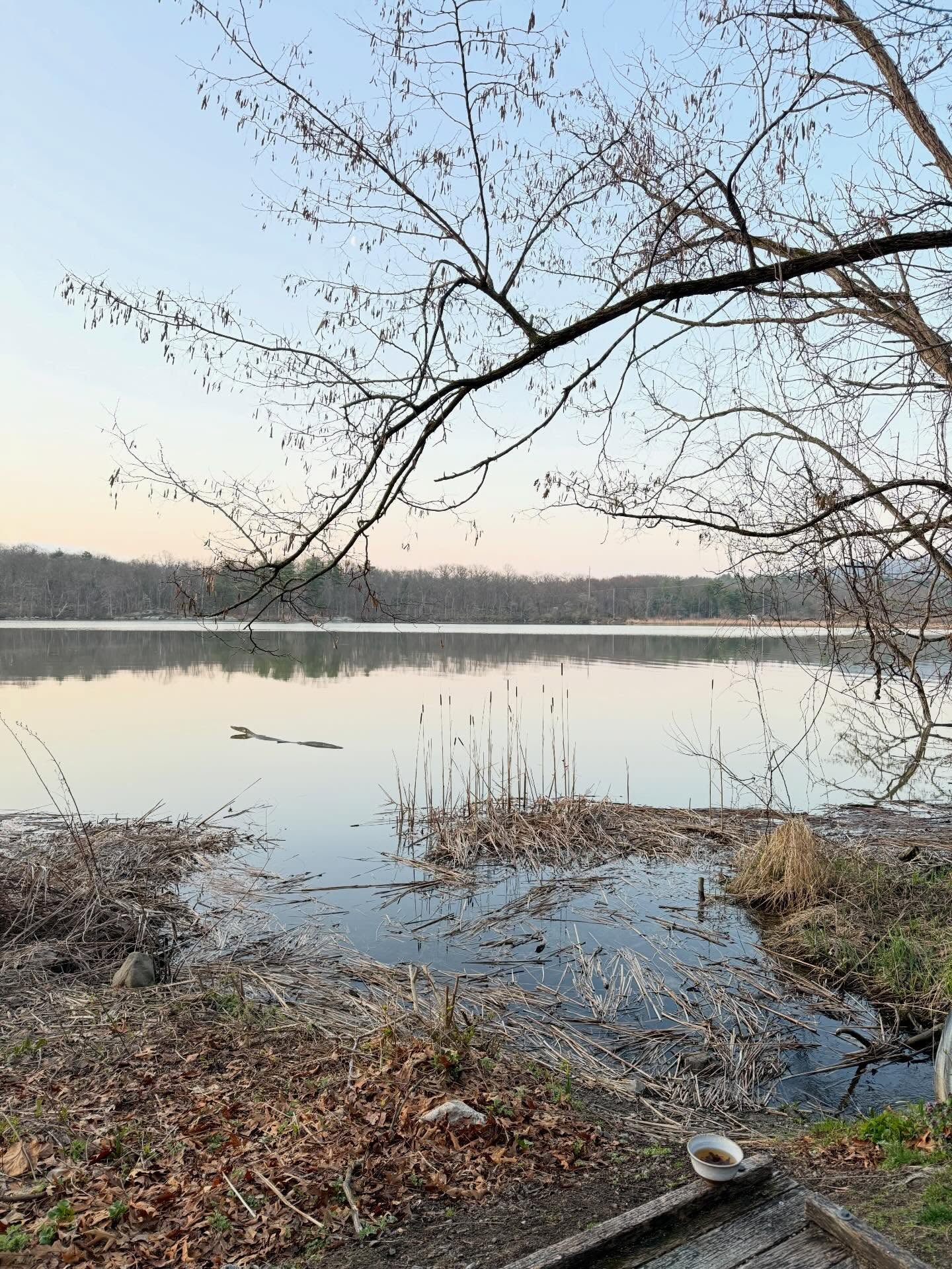 when the morning is your chaxi… #7am #bythewater #coldspringny #gratitude
