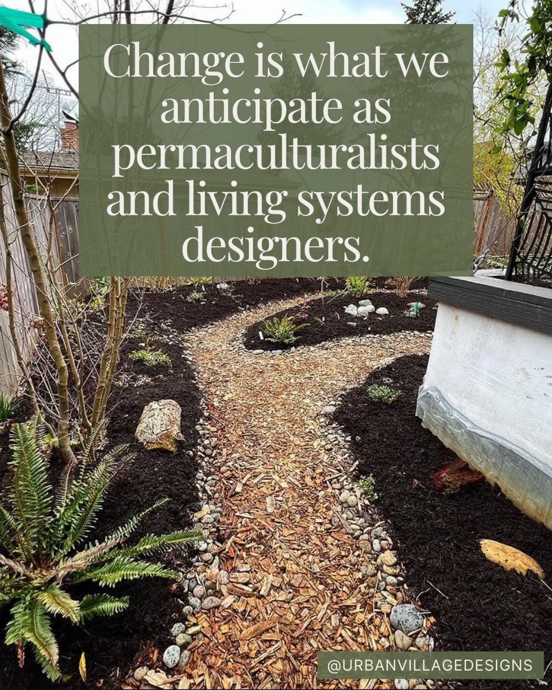 Everything is meant to change over time.
Seriously, nothing is stagnant.
As a landscaper over the years, I witnessed an industry obsessed with keeping things the same. Conventional landscaping is honestly pretty insane. It goes against everything we know about nature—which is in a constant state of change and evolution.
Just like we are.
So I design with this in mind. Whether we’re talking about landscapes, community agreements or organizational development, whatever system we’re looking at should be built to anticipate growth and change. It should be adaptive and able to respond as needed to internal and external conditions.
And how do we do this?
By implementing elements that support diversity and redundancy. We explore through iteration. Systems are built on strong foundations that take into consideration current as well as future potential holistic conditions (social, environmental, economic and even political). We plan for both what is and what might be.
If you’re interested in exploring ideas like succession and resiliency in your landscape, community or organization—get in touch!
*All images are from one of our design and installations located in Sellwood, Oregon*
#permaculturedesign #livingsystems #sustainabledevelopment #succession #pdx