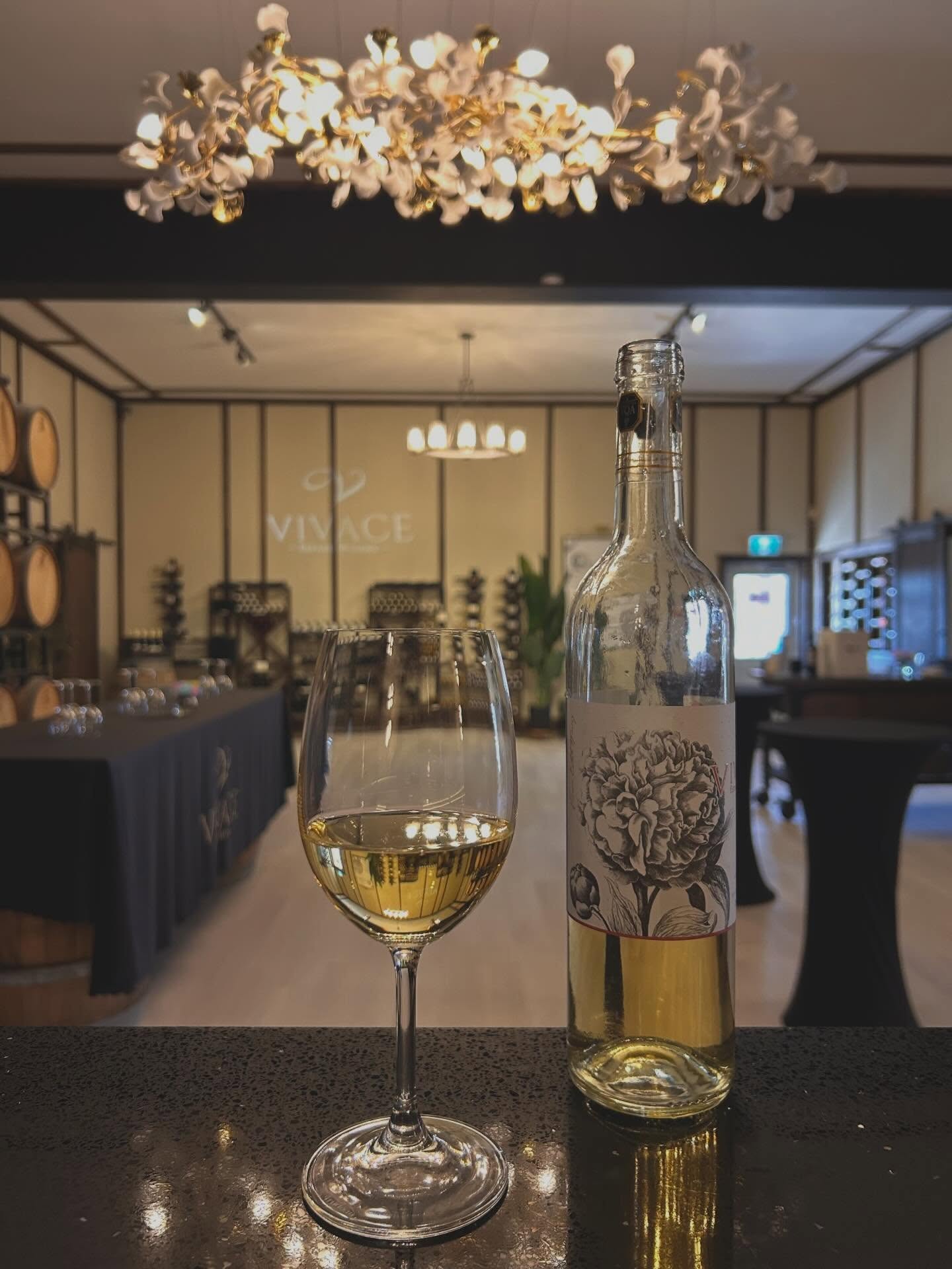 Wine Wednesday at Vivace 🍷
A little pause in the middle of the week, best enjoyed with a glass in hand. From crisp and refreshing to rich and bold, there’s a Vivace wine for every kind of Wednesday.🍷
#WineWednesday #VivaceEstate #OntarioWine #DrinkLocal #SipAndSavor