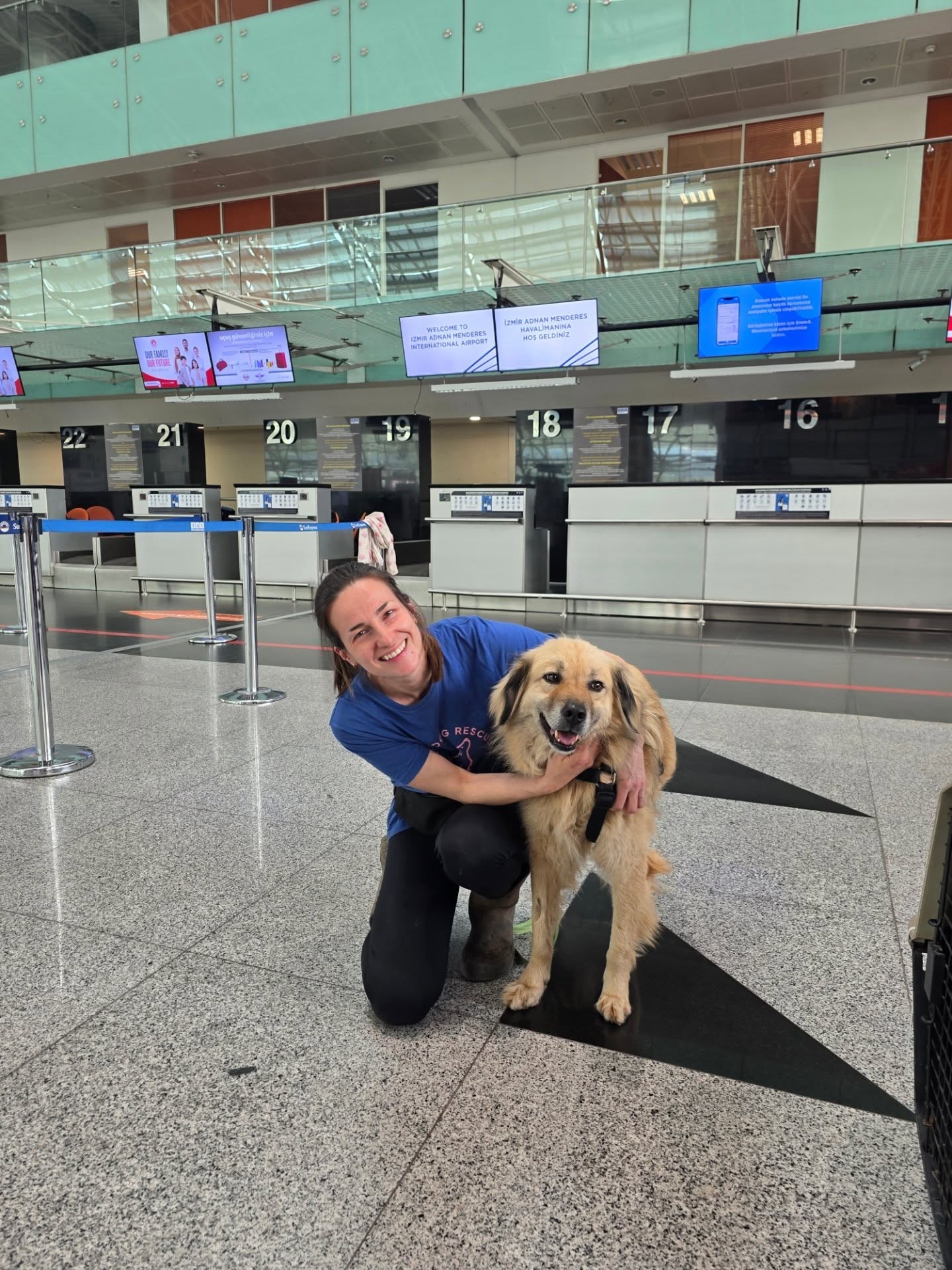 A new life for Mico✨️
Today we sent long-term resident Mico off to his new home in the Netherlands, where he gets to start a new, happier life!
Mico came into our care in 2022 as a tiny puppy of only 3 months old. He was just a baby, and after having had to live in tough conditions on the streets fending for himself, he was in a terrible state. He had mange and had developed Rickets due to malnutrition, and he had Distemper. He was so small, but he was having to fight a huge battle for survival.
Thankfully, Mico made a full recovery, and grew into a happy, healthy dog in the enclosure. But as he never got to see much of the outside world, he became a timid dog. Because of his shy nature, Mico had to wait for years for someone to notice him and offer him a home, but his years of waiting finally came to an end today!
Now he finally gets to experience life in a home, with a loving family!
All the best sweet Mico, be happy!