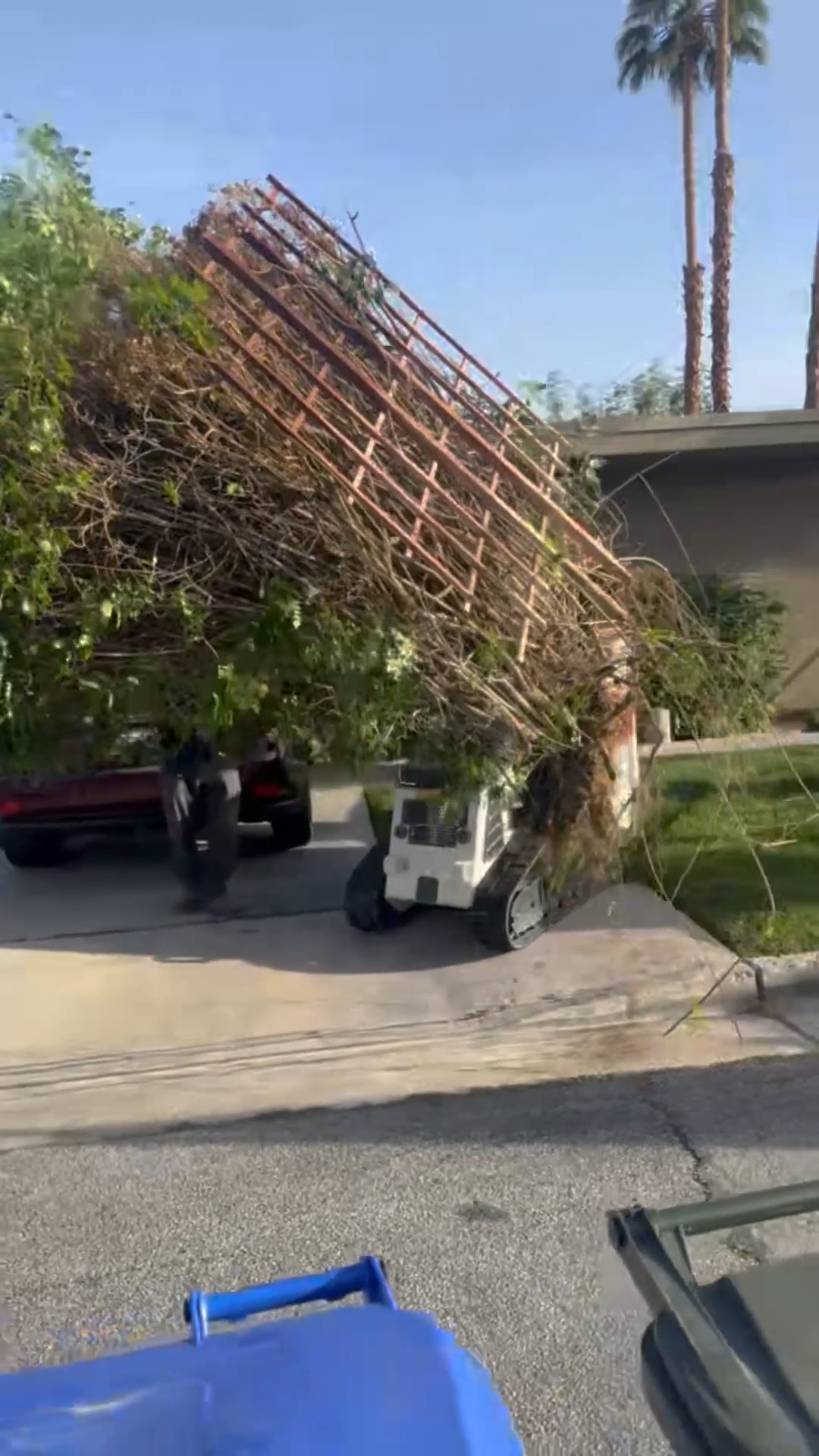 Watch this transformation come to life 🌿✨ From outdated to refreshed, this landscape remodel features new plants, clean design, and a fresh, modern look that elevates the entire property. At Low Desert Landscaping, we bring your outdoor vision to reality with quality work and attention to every detail.
Ready to upgrade your yard? Let’s make it happen 💪
📍 Coachella Valley
📞 (760) 272-6998
🌐 lowdesertlandscaping.com
#LowDesertLandscaping #LandscapeRemodel #BackyardTransformation #DesertLandscape