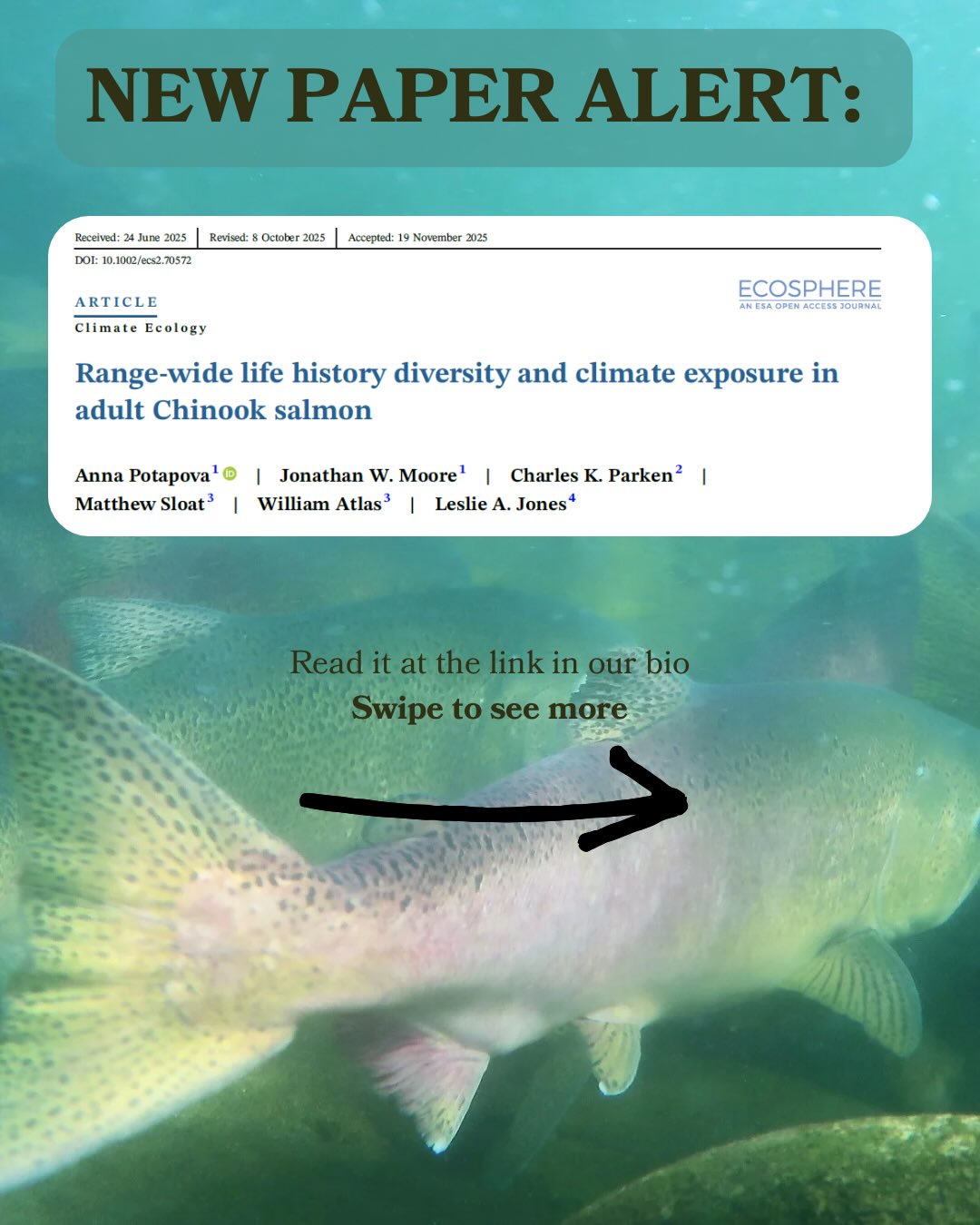 A few weeks ago SWL alum Anna Potapova published a really cool paper in Climate Ecology!
Check it out at the link in our bio