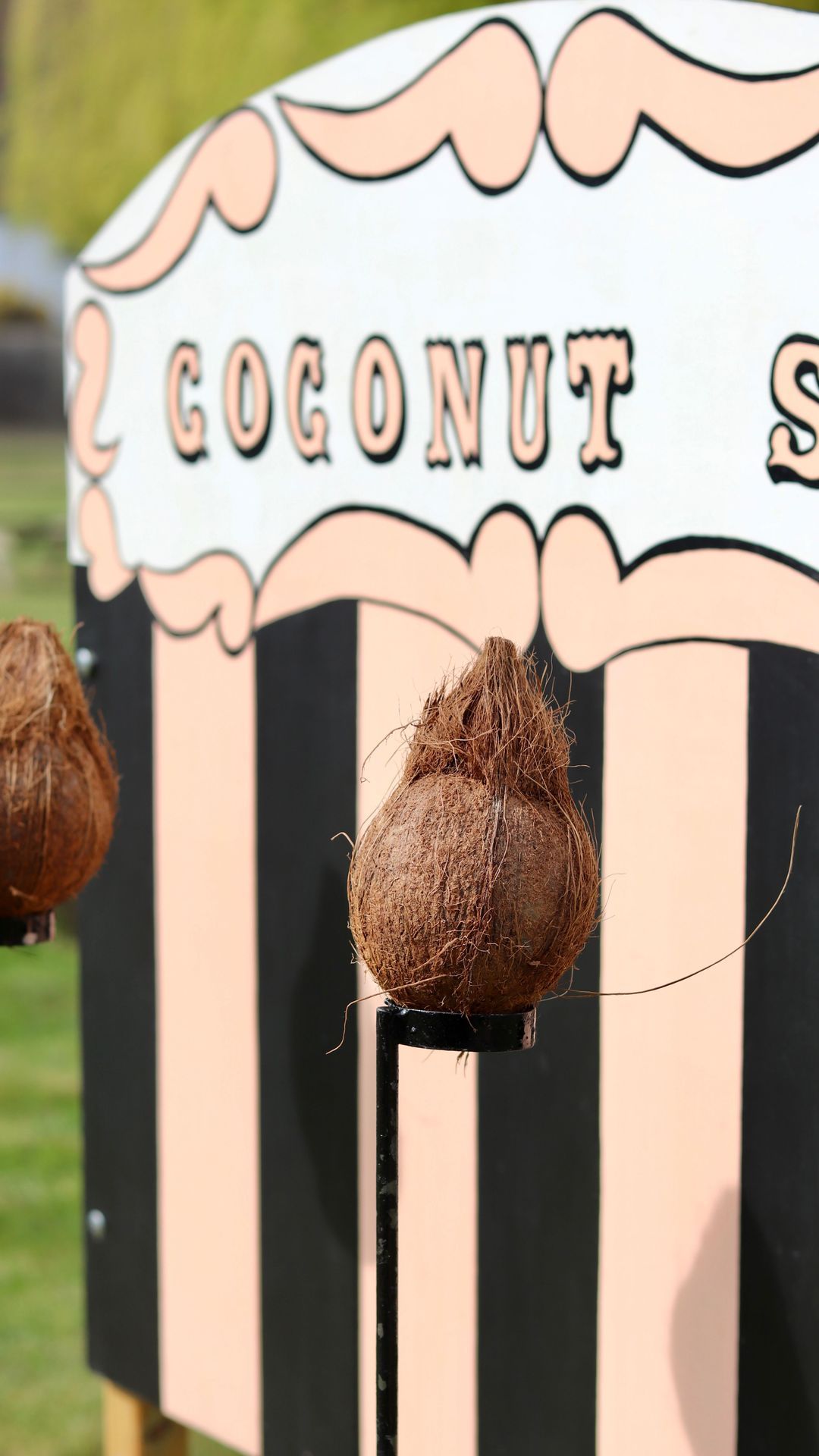 🎡 Bring the Fun of the Fair to Your Wedding 🎡
Make your celebration truly unforgettable with entertainment that brings charm, timeless appeal, and plenty of laughter to your special day.
Our handcrafted rustic carnival games are designed for guests of all ages, creating the perfect relaxed, outdoor atmosphere. Imagine your friends trying their hand at Coconut Shy, competing in a round of Hoopla, giggling over Hook a Duck, testing their reflexes on Splat the Rat, or knocking down tins at Tin Can Alley and so many more lawn games we also offer too!
From light-hearted competition to timeless fete favourites, we help turn your rustic wedding into an experience your guests will talk about long after the last dance.
Get in touch via our website to hire our carnival games for your summer garden wedding 🌟
#kentwedding #handmadegames #fairgroundgames #bowling #2026weddings