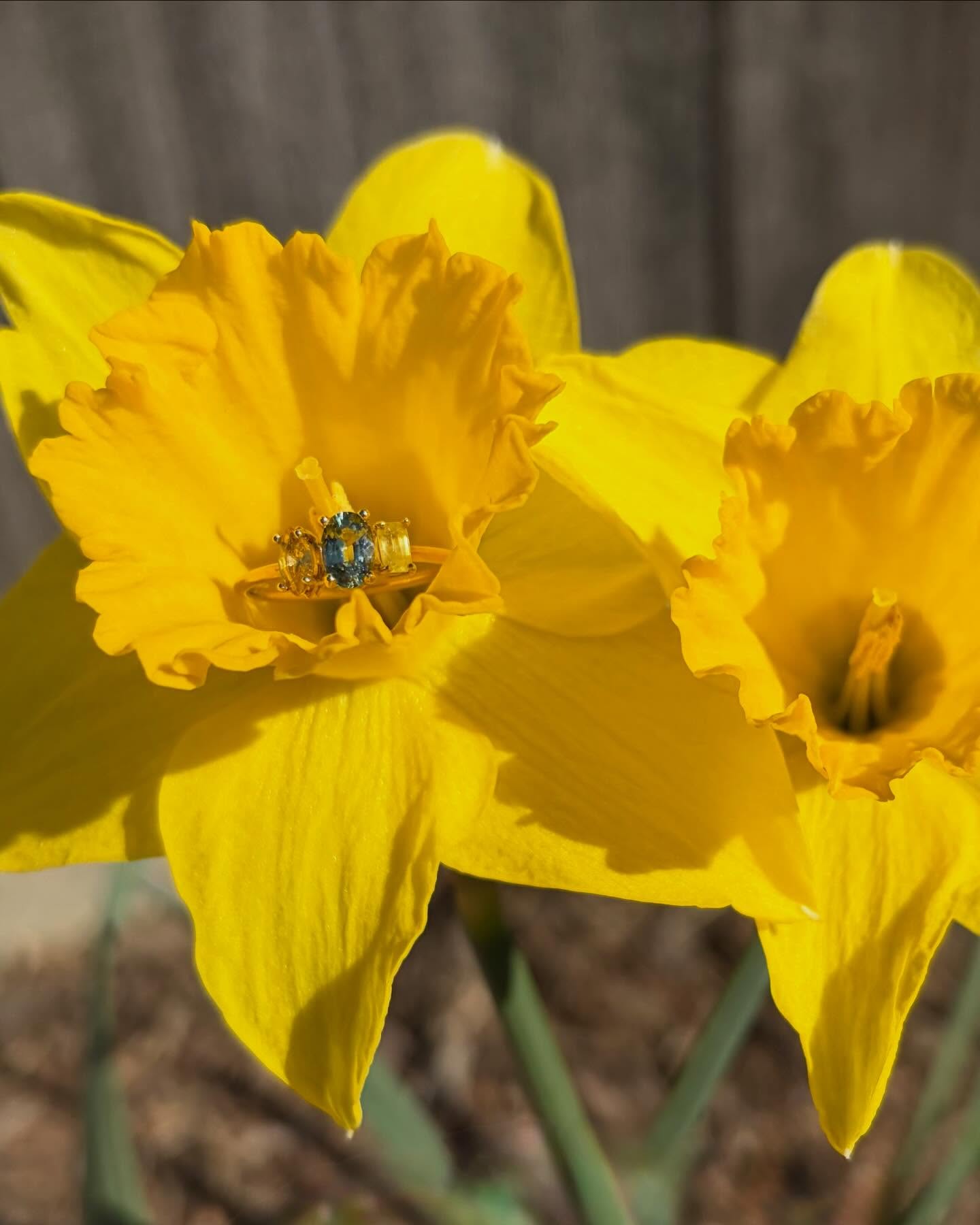 Spring is springing!