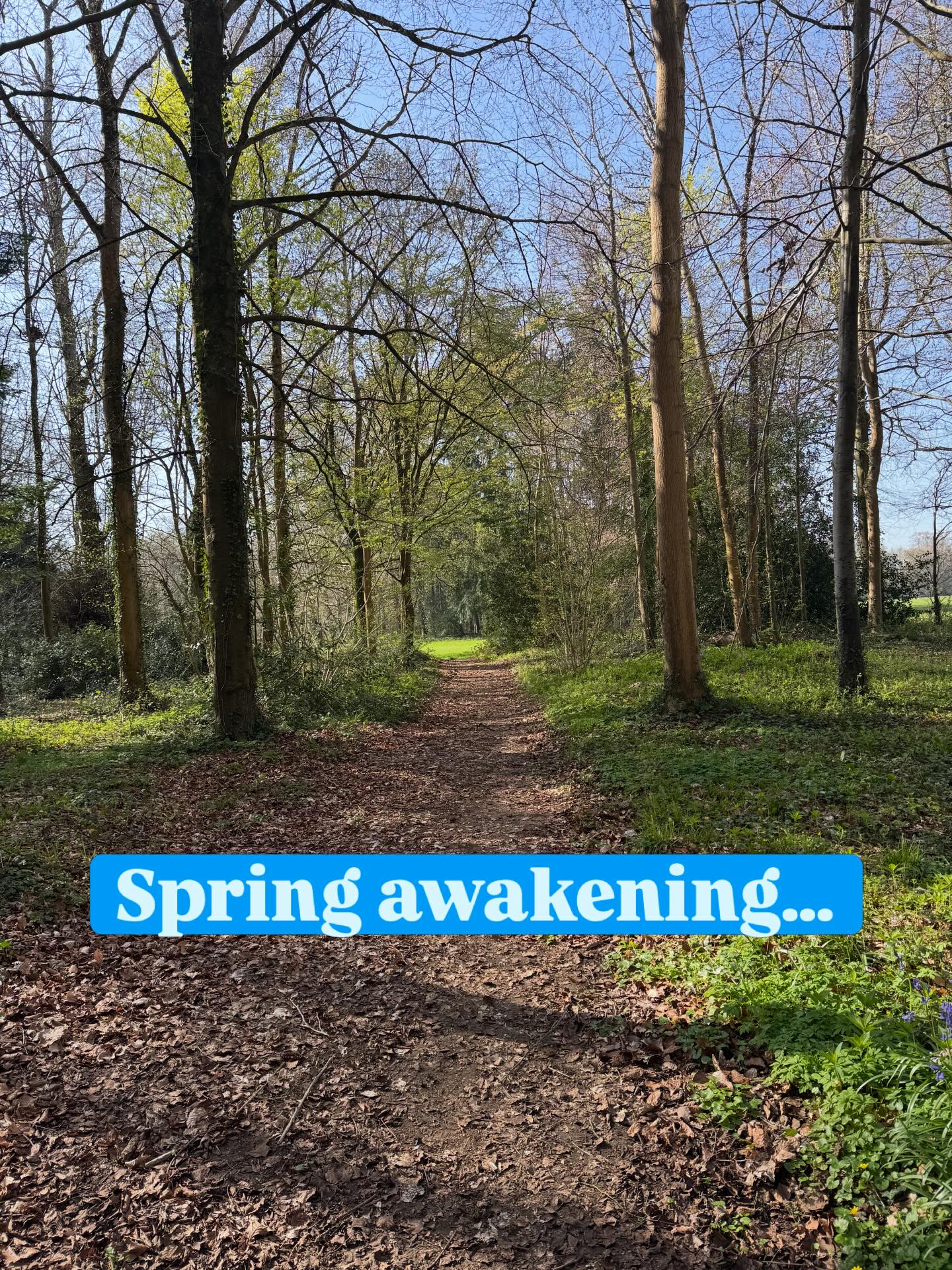Ready to ease into spring with movement that feels good?
My Sunday morning class blends flow, stretch and breath to help you feel lighter, clearer and more grounded for the week ahead.
10–11am at The Wellbeing Barn, Cricklade
Everyone welcome.
Bookings & questions: clarehillyoga@icloud.com or phone 07920 841264
#yoga #yogawithclare #yogacotswolds