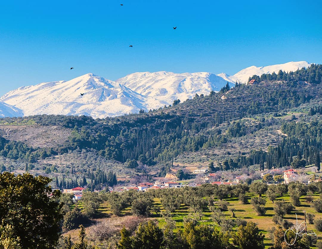 🏺🏛❗I present to you the ancient sports stadium built in Nemea during the end of the 4th century BC (approx. 330 BC). The site is situated 400 m southeast of the Temple of the Nemean Zeus, but I would suggest you drive between the two sites. In its heyday, the stadium could accommodate an impressive 40.000 spectators and was used in the Panhellenic Games which were held every two years. The Panhellenic Games were comprised of 4 separate festivals in different locations one of the locations was Olympia i.e. the Olympic Games! Unfortunately for the Nemeans by 270 BC the 178 m long track field no longer held the Nemean Games that were transferred to Argos.
◾◾◾
The stadium is interesting from an architectural standpoint for a variety of reasons including that at its perimeter there was a water channel with stone basins that spectators could use for drinking water while enjoying the races. What is more fascinating is that the architects had planned for a vaulted tunnel running under a hill whose purpose was for athletes and judges to enter the stadium at its center (making quite a grand entrance might I add!). The tunnel connected the stadium with an internal colonnade structure located on the western portion of the site that most likely functioned as a changing room for athletes.
◾◾◾
Around the site there are vineyards and close to the entrance, there are beautiful views of the mountains that on this visit were snowy. Geographically ancient Nemea is an especially mild weathered region making it an especially pleasant day trip from Athens even in winter. The site has very few signs and feels totally untouched making one more easily teleport mentally to ancient times. Even though the stadium follows the standard dimensions of ancient stadiums (600 ft long) to me it felt quite monumental yet classically graceful nonetheless.
◾◾◾
❗Date of Visit: Jan 10, 2020 Weather Conditions: Noon visit on a wonderful winter Friday – The climate in Nemea (357m above sea level) and the mountainous landscape creates the perfect “pocket” for cultivating grapes. Today many producers create excellent robust red wine based on the Greek grape variety "Agiorgitiko"
◾◾◾