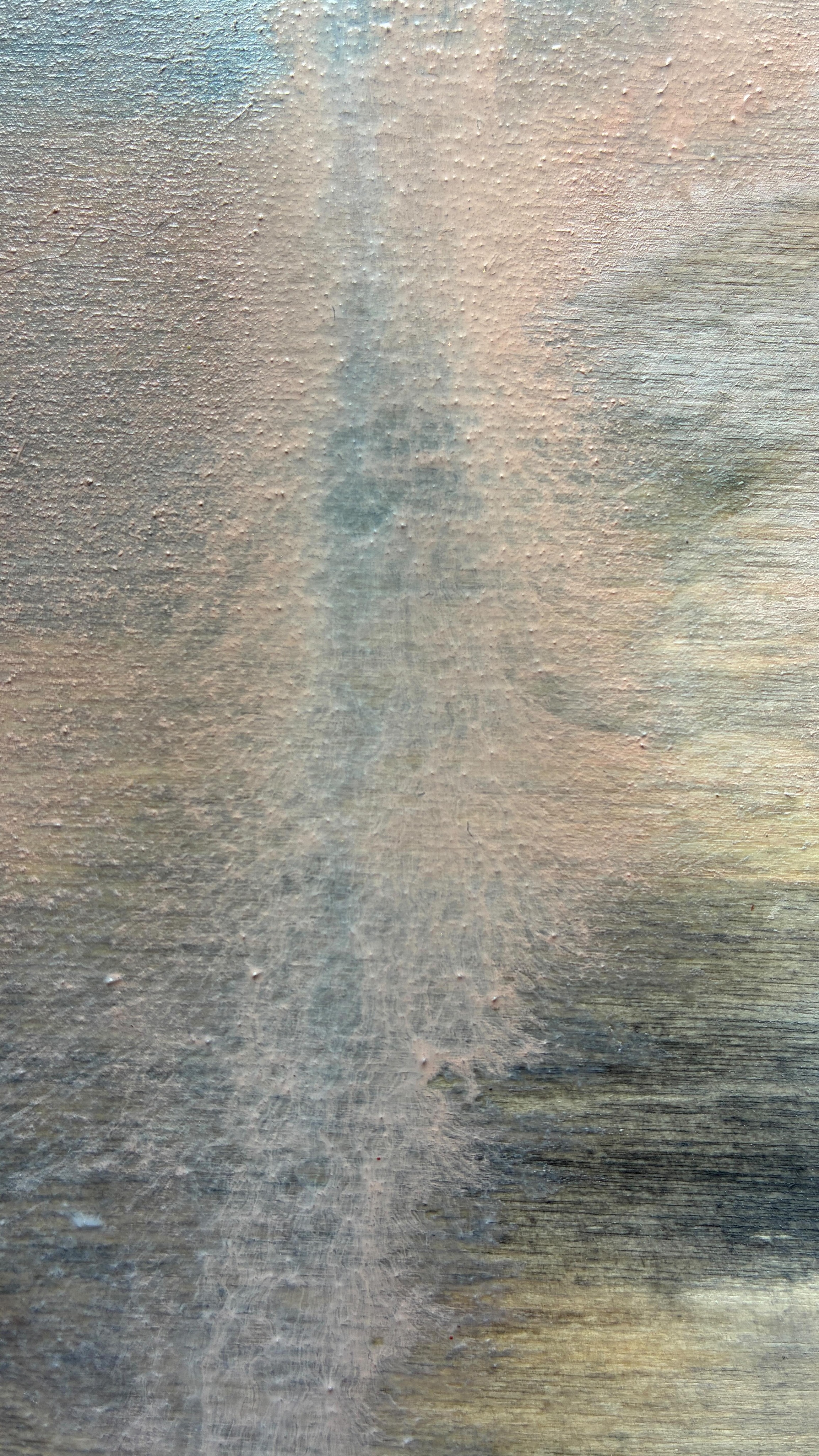 Something is coming …#natureinspiredart #devonart #northdevonartist #southwestcoastpath