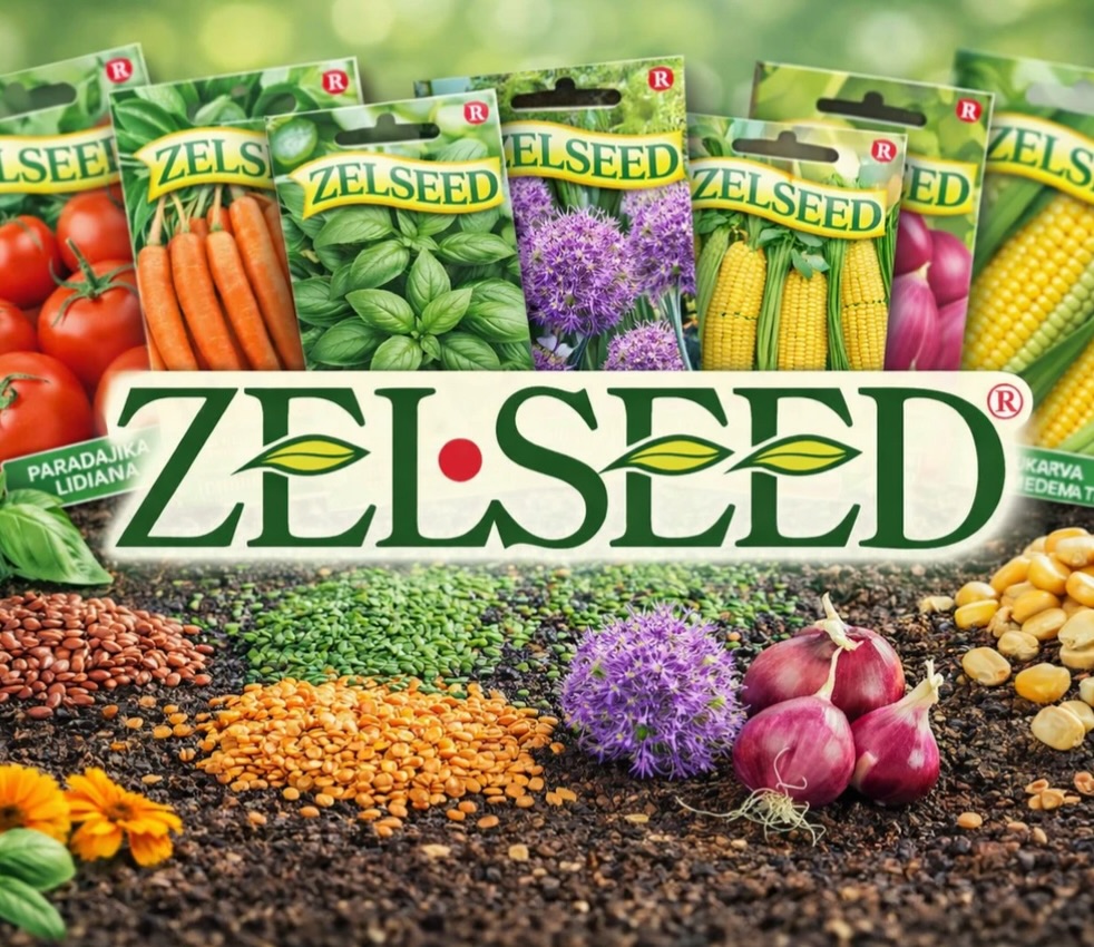 Nie každá značka má korene. Nie každá značka vydrží 30 rokov.
ZELSEED nie je trend. Je to výsledok dlhodobej práce, skúseností a dôvery pestovateľov, ktorí sa k nej vracajú sezónu za sezónou.
V čase, keď nové značky vznikajú a zanikajú rýchlosťou jedného kliknutia, je práve kontinuita to, čo odlišuje silné meno od priemeru. Viac ako 30 rokov praxe znamená overené odrody, stabilnú kvalitu a reálne výsledky v záhradách po celom Slovensku.
Ak pestuješ pre radosť, úrodu alebo sebestačnosť, základ je vždy rovnaký: začínaš od semienka. A práve tam sa rozhoduje o výsledku. Link v komentári