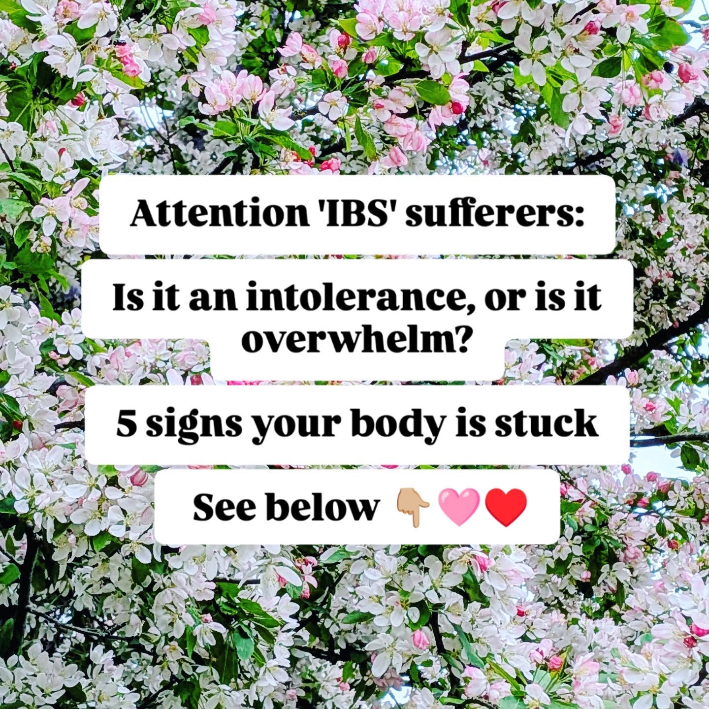 It's a familiar story I hear people tell of cutting out foods, it helps for a while but then their IBS / digestive symptoms return or they find the 'diets' are difficult to maintain.
Here are 5 signs your nervous system needs support and it's not just about cutting out foods...
1) You become instantly bloated and uncomfortable as soon as you eat and drink anything π¨π
2) Your stools float and/or are light in colour π©
3) You are constipated or struggle to pass a healthy bowel movement daily π«
4) You see undigested food in your stool ππ
5) You are gaining weight around your middle or struggle to lose weight from that area π
#ibs #intolerance #stressrelief #nutrition #autoimmune
Please drop me a DM if you need support.
Lucy π©·β₯οΈ
