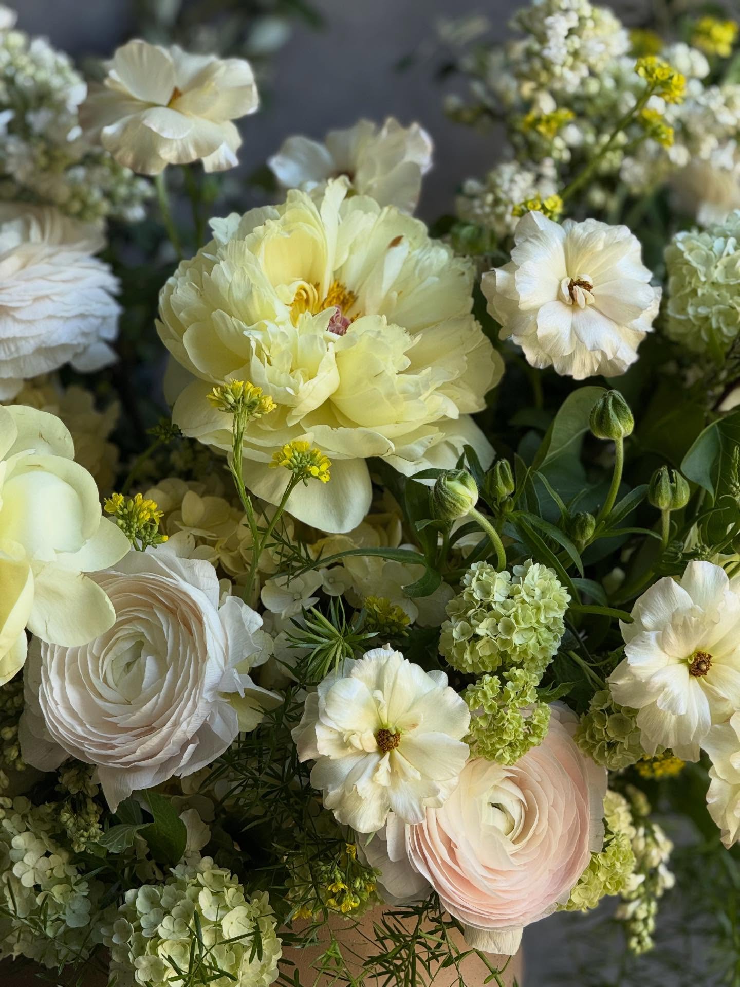 1 month away.
Mother’s Day is one of the weeks we pour ourselves into most. Late spring is generous — the palette is soft, the season is full, and there is no shortage of beautiful things to work with.
Pre-orders are open now for delivery or pickup May 8-11.
Designer’s Choice, specialty bouquets, and our Statement arrangement are all available through our website. The Your Choice option is also available for anyone who is looking for something customizable.