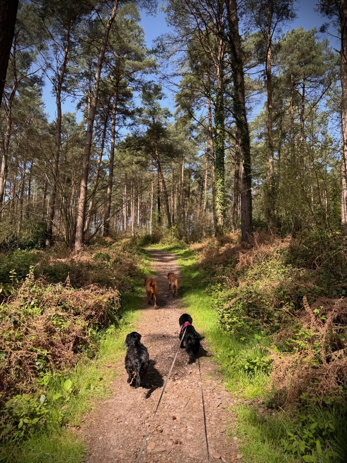 Hot one today so we had a nice mix of sun and shade with plenty of water along the way to keep them nice and cool!