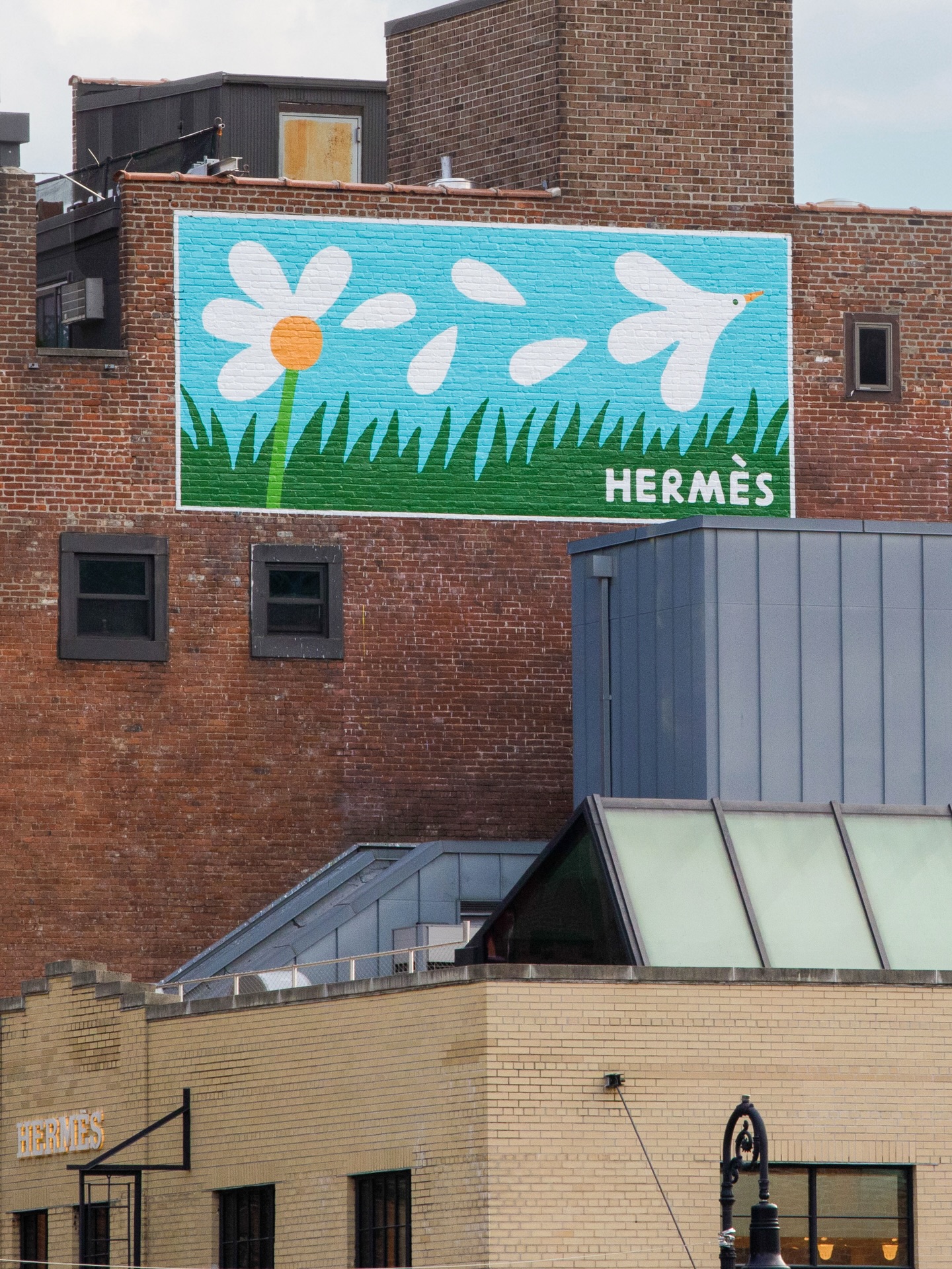 Everything’s coming up daisies with @hermes 🌼