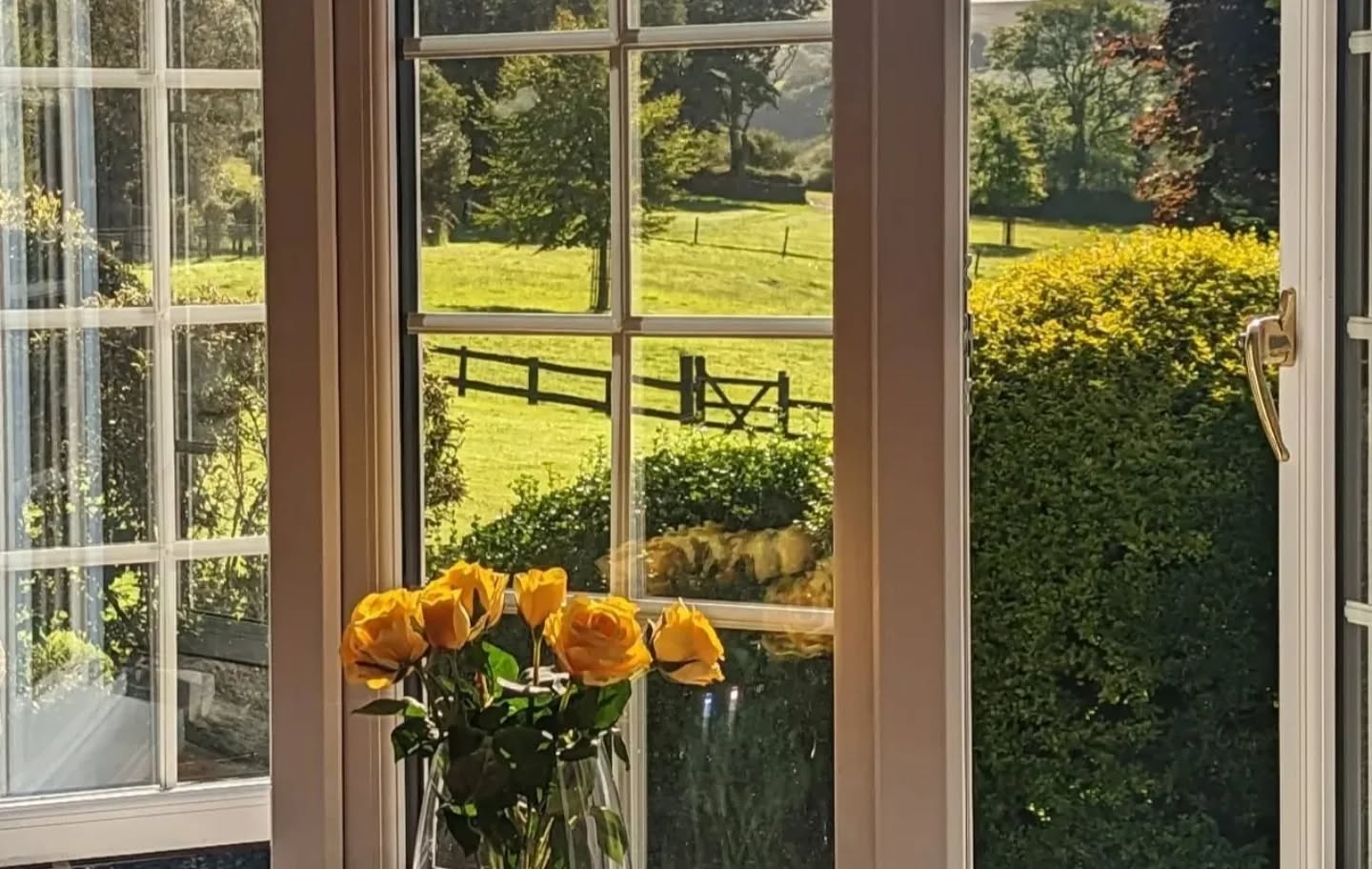 Sunlight, fresh air, and a view that feels like a reset 🌿✨
This is what holiday cottage dreams are made of. 🏡💛
.
.
.
#cottageholidays #dartmoornationalpark #dartmoorholidays #wanderlust #staycationvibes