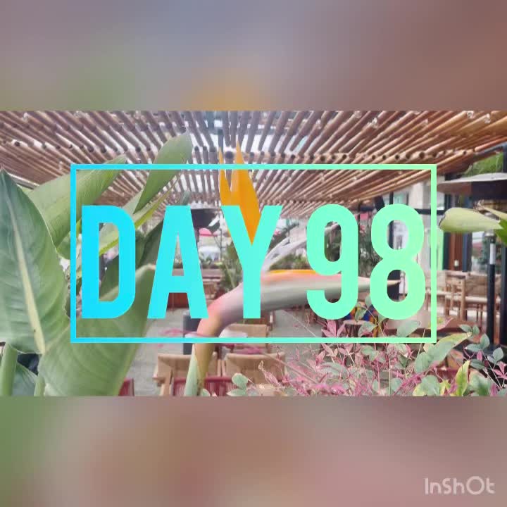 Day 98
🌤️ 70°/50°
A Bird of Paradise just right outside our gate, my absolute favorite!!!! We had haircuts with Alessandro this morning, & decided we needed to have that delicious Ammos breky again, with the beautifully close view of the sea. Later we were able to conduct Holly’s Grooming Services for Reesa’s nail trimming… it was neither fun, nor terrible. I’m glad the new clipper is sharp & heavy duty enough, helps with my confidence immensely. We went to the Eagle for dinner, & grabbed a couple small scoops of gelato on our way home 🍨 The weather is really going to warm up in the next few days, we plan to get in the sea 🤿
🪿💈🪿
#sillygoosesonly #vlorë #albania