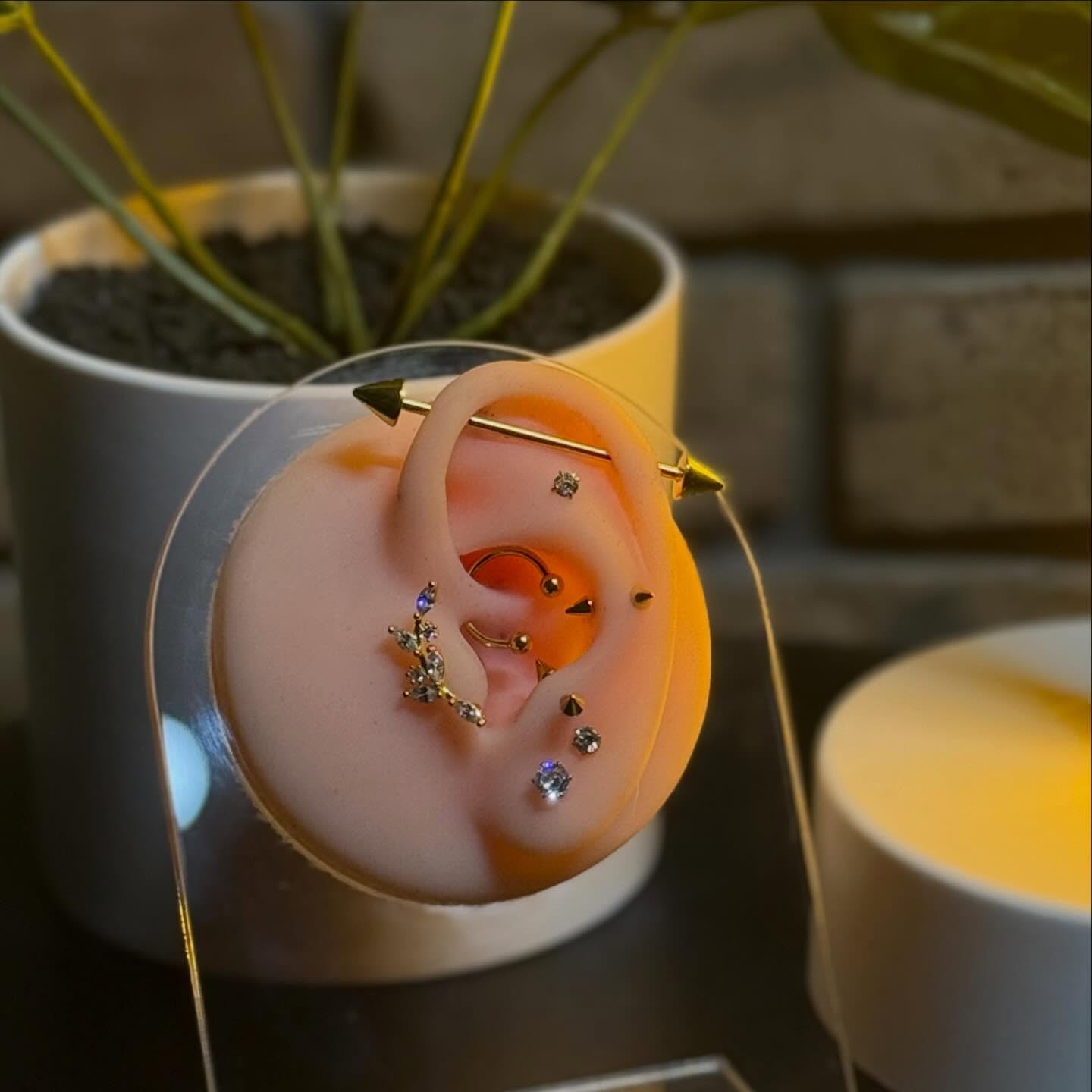 $10 Piercings today starting at 12pm!āØ
Please have your physical ID & Cash in hand šµ
#letslynkup