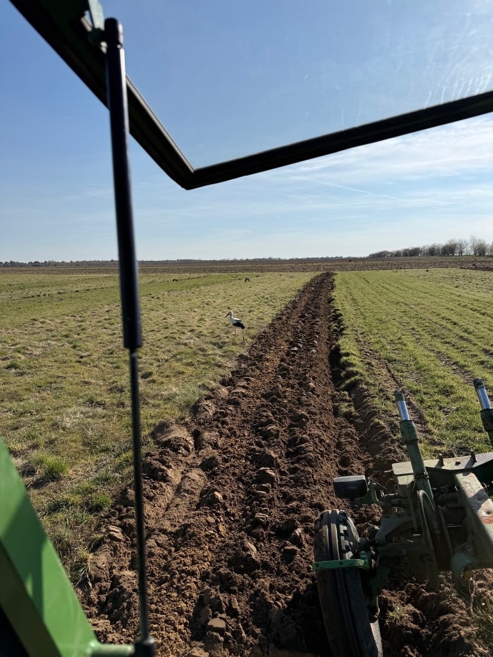 Wir müssen regelmäßig den Boden auf unserer Biodiversitätsfläche bearbeiten, damit wir den Ackerstatus nicht verlieren. Die Vogelwelt ist hocherfreut 😊. Die Feldmäuse etwas weniger.
