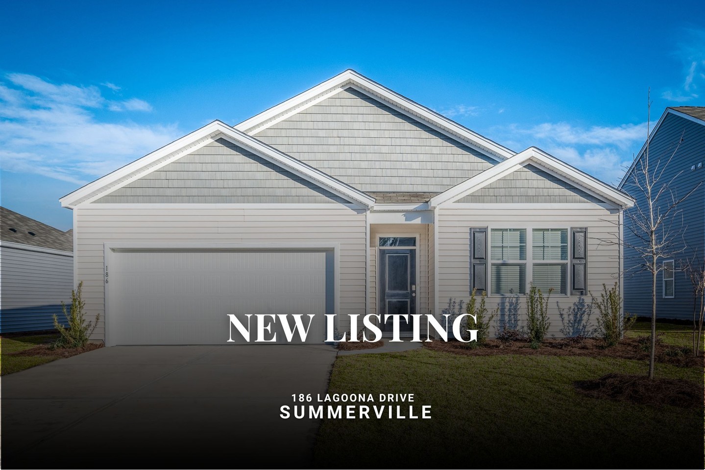 coastalcollective.chs