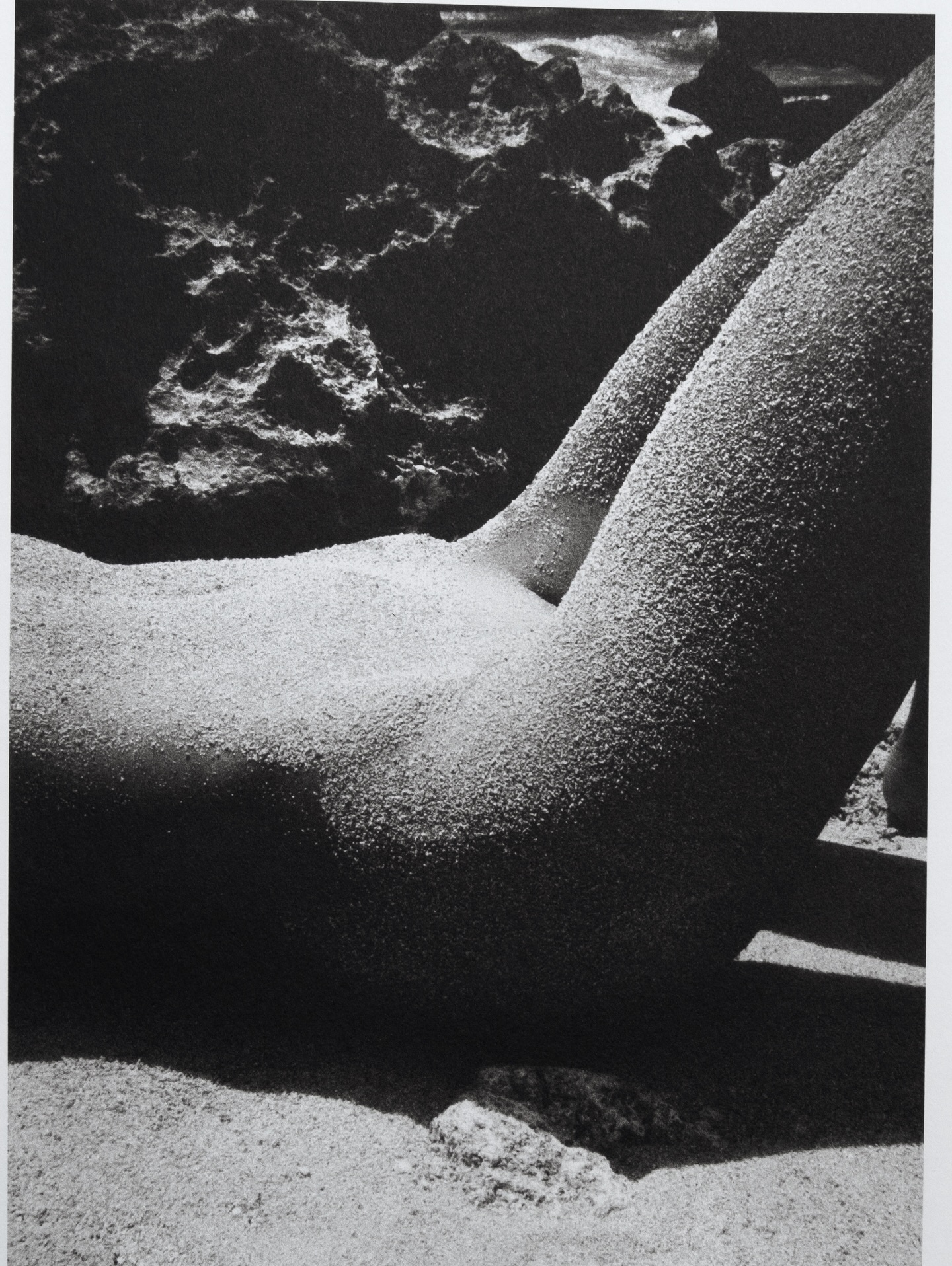 Mineral
from ‘Totem’ book @equator