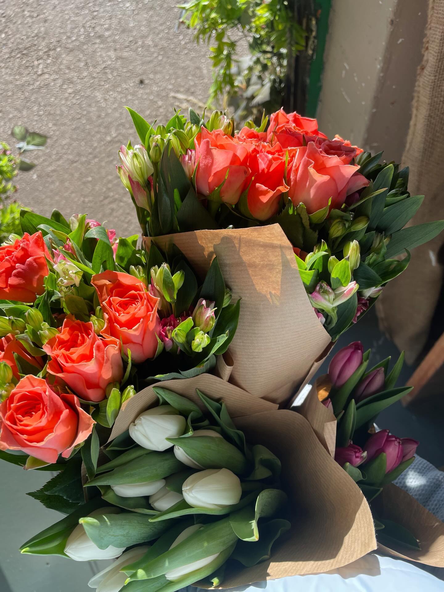 Snapshots of the shop this morning 📸
Fully stocked - fresh produce daily!
The big shop doors are open for a browse 🛍️
📍 find us at : The workshop, Halifax Road, Thurgoland, S357ED