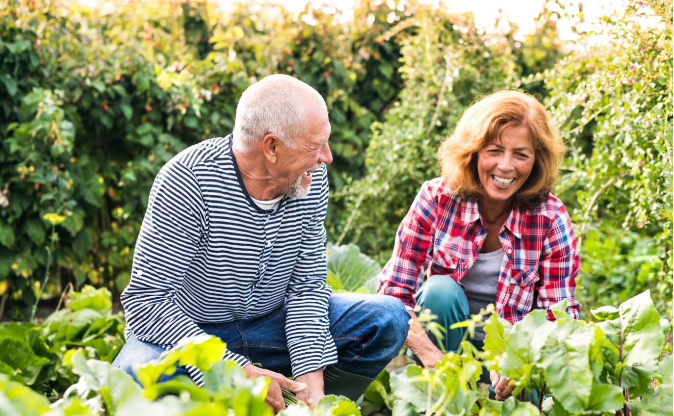 “April is the kindest month. April gets you out of your head and out working in the garden.”
- Marty Rubin
#QuoteOfTheDay #SafeSoilUK #MartyRubin #AprilQuotes #soilhealth