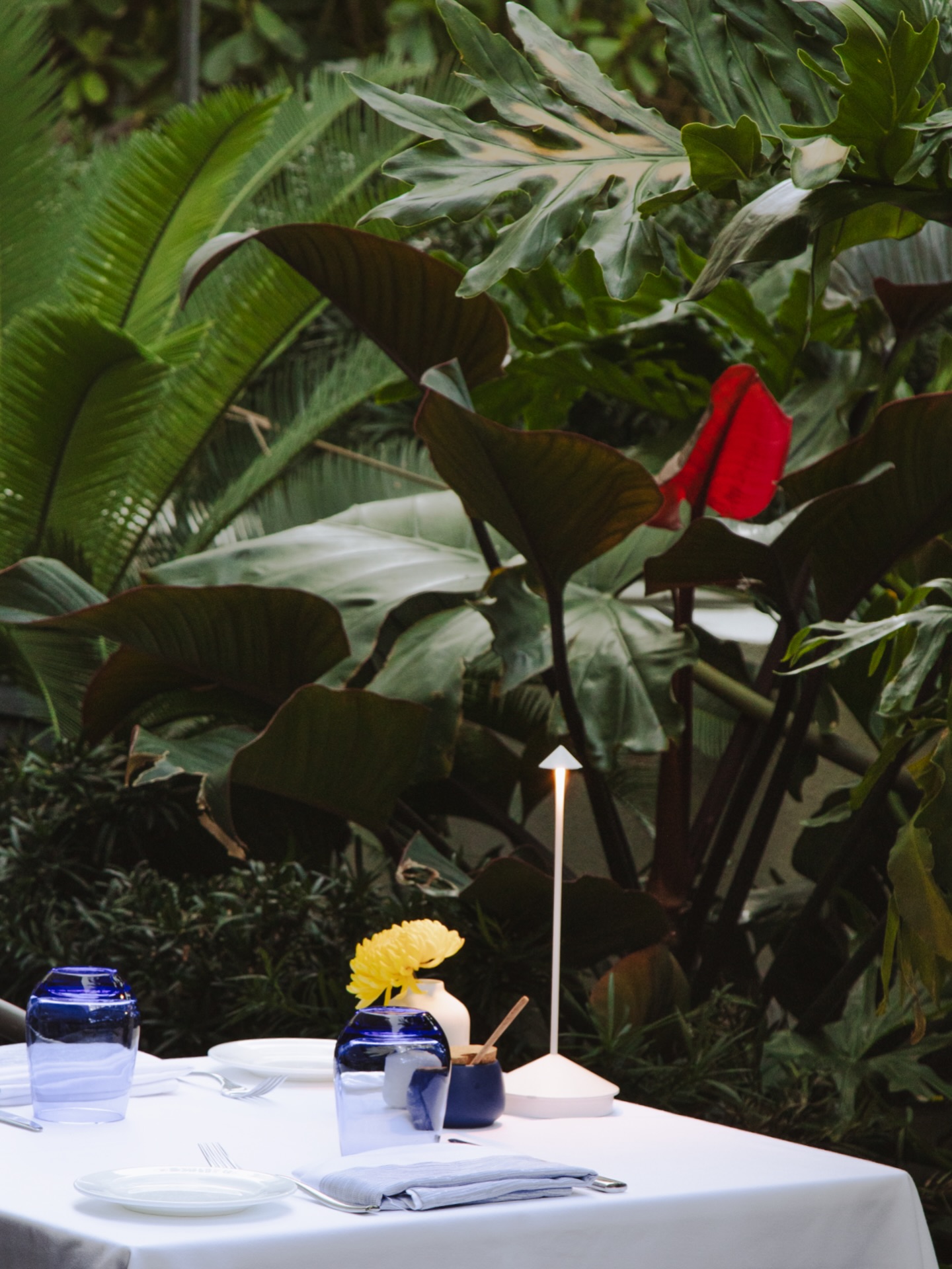 An atmosphere of quiet precision ✨
At Salute Ristorante, every detail is intentional, the light, the table, the space between moments.
Dinner unfolds slowly, with elegance and restraint,
where simplicity becomes luxury and every element speaks softly.
•••
#saluteristorante #finedining #palmabeach #palmbeachstyle #palmbeachfl
