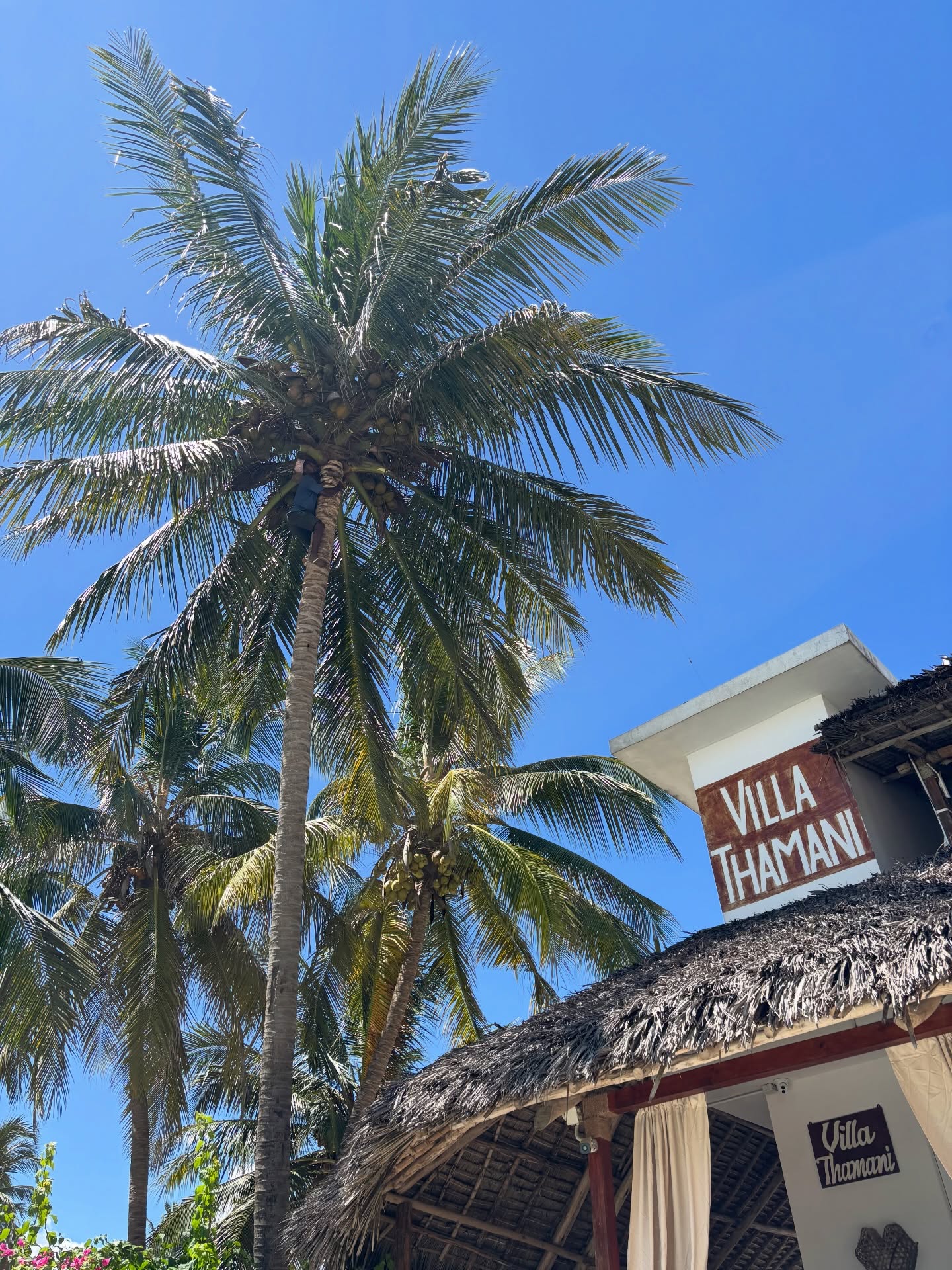 Today, no perfect pictures.
No carefully curated filters.
Just who we truly are 💎
The laughter of our staff,
the little details that make us unique,
the slow life of Pwani Mchangani,
the ocean changing every single day,
and that feeling you can’t really explain… only experience.
Villa Thamani is not just a destination.
It’s a small world made of people, energy, and authenticity.
And maybe that’s exactly what makes it so special 🤍