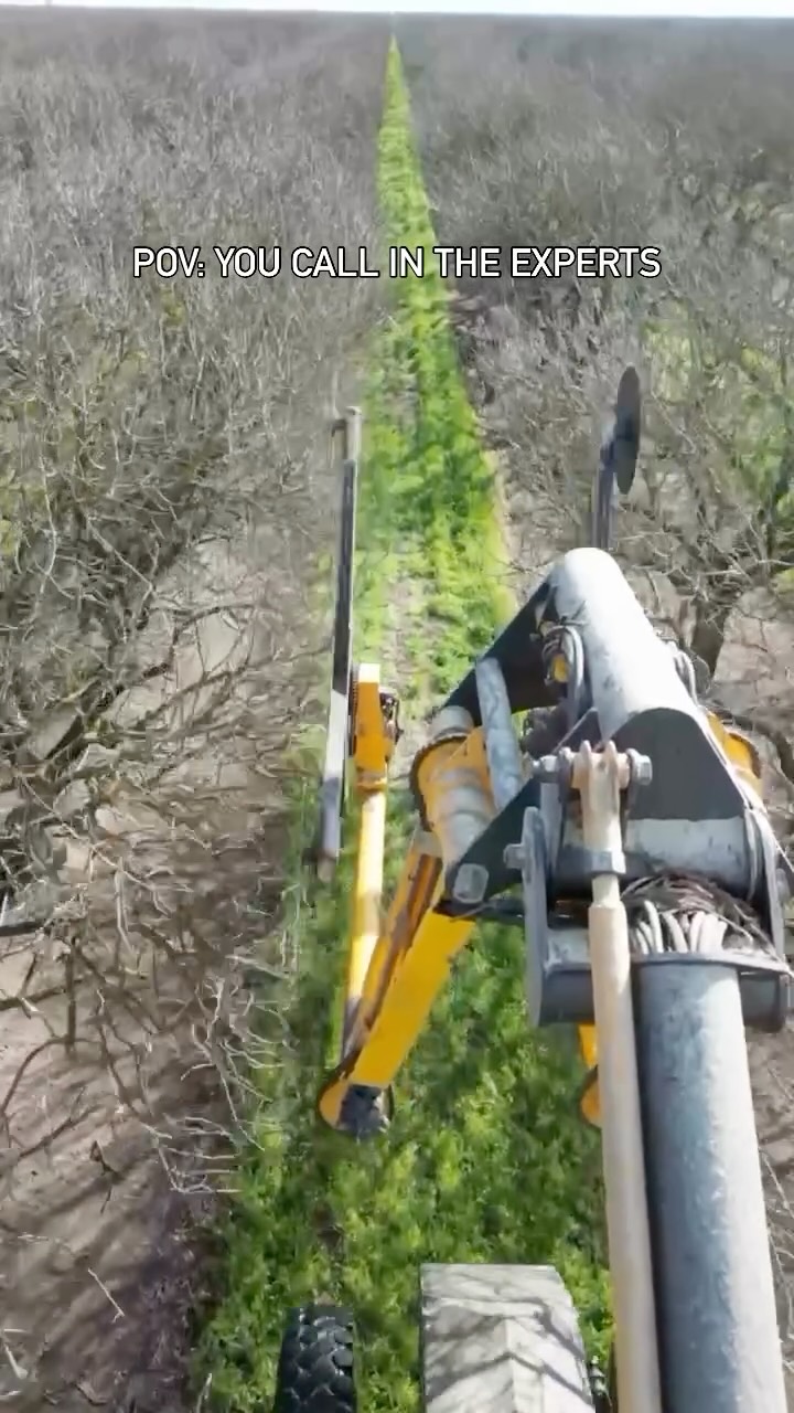 Let’s get your trees dialed in!🌳
Give us a call to get on the schedule.
📞North Valley: (209) 564-8207
📞Central Valley: (559) 363-3315
📞South Valley: (559) 201-3189
#treebarber #topping #hedging #orchardcare #treecare