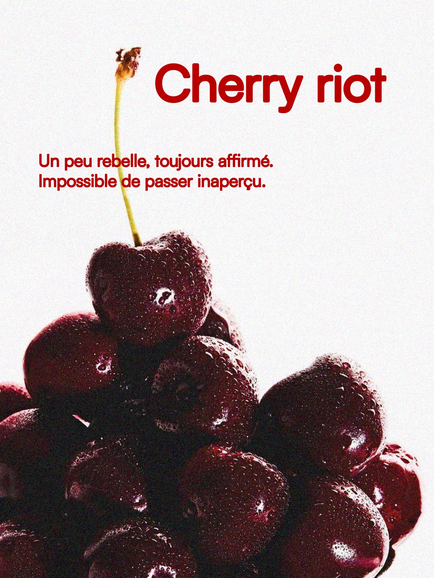 Cherry Riot 🍒
Un peu rebelle.
Toujours affirmé.
Une laisse nouée à la main, pensée pour les chiens
qui ne demandent pas l’attention, ils la prennent.
03/08