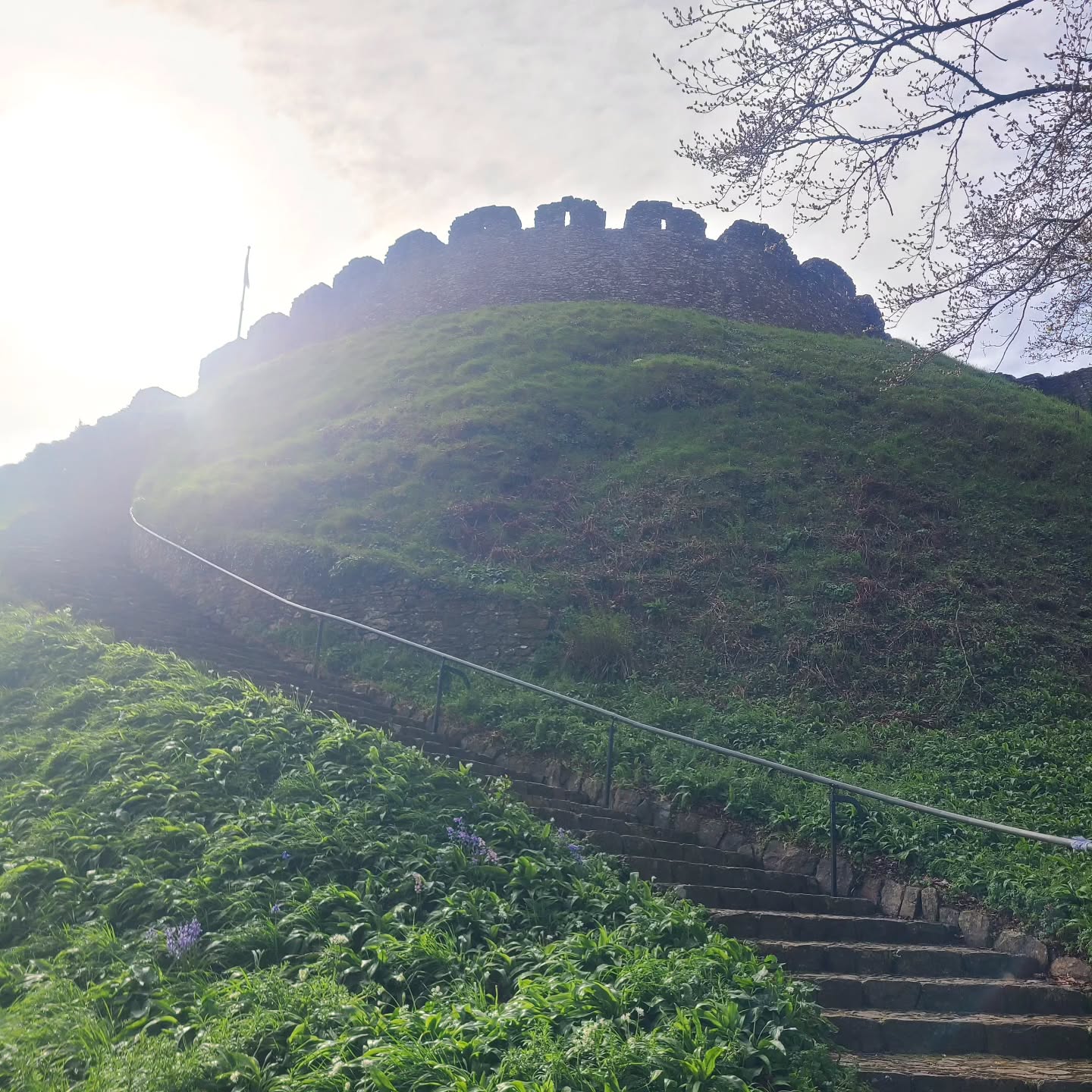 A nourishing few days away in Devon was just what we needed. Catching up with family with walks on Dartmoor and beach trips to visiting Totnes Castle and going to the most nurturing sound bath in a cosy yurt.
Loved the long drive there and back listening to nostalgic music with @that.yoga.bloke Fleetwood Mac has become my favourite drive music again!
#totnes #dartmoor #devon #soundbath
