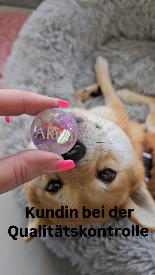 War das Zustimmung… oder nur höfliche Neugier? 😅
#shibainu #hundefürsleben #dogsofinstagram #shiba