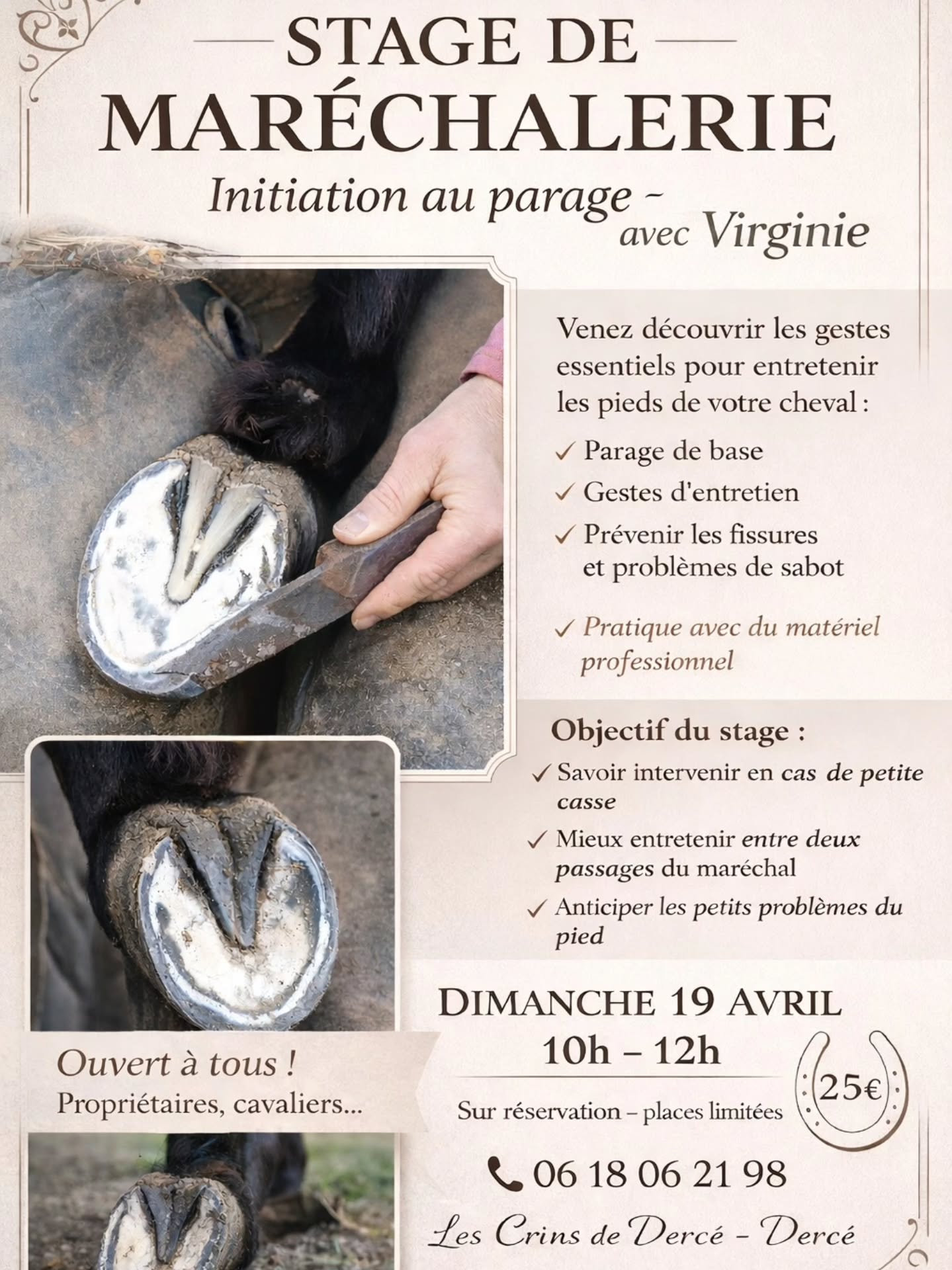 🐴 Et si vous saviez gérer une petite casse de sabot… sans paniquer ?
Aujourd’hui, beaucoup de propriétaires se sentent démunis face à un pied abîmé, une fissure ou un début de problème…
Et pourtant, avec quelques gestes simples, on peut déjà faire énormément 💡
👉 C’est exactement ce que je vous propose de découvrir lors de ce :
✨ STAGE DE MARÉCHALERIE – Initiation au parage
📍 Aux Crins de Dercé – Dercé
📅 Dimanche 19 avril
🕘 10h à 12h
💶 25€
🔍 Au programme : ✔ Comprendre les bases du parage
✔ Apprendre les gestes d’entretien essentiels
✔ Savoir réagir en cas de petite casse
✔ Prévenir fissures et problèmes de sabot
👉 Le tout avec du matériel professionnel et des conseils concrets, applicables dès le retour à la maison.
⚠️ Places très limitées pour garantir la qualité du stage
💬 Vous repartez avec : ✔ Plus de confiance
✔ Plus d’autonomie
✔ Des gestes utiles pour le bien-être de votre cheval
📞 Réservation au 06 18 06 21 98
🐴 Ouvert à tous : propriétaires, cavaliers…
👉 N’attendez pas que le problème arrive pour apprendre 😉
#cheval #maréchalerie #parage #soinsducheval #equestre lescrinsdederce