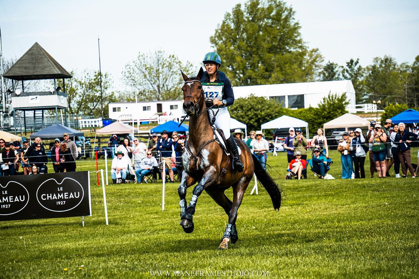 Lisa Barry & Rosie’s Aventadora in the CCI4*-S over 9 Le Chameau ⚜️
— You can find the photographs from the CCI4*-S XC 2024 available for viewing on my website. However, please note that these images were captured on assignment and are not available for purchase.
#EquinePhotographer #equestrian #photography, equine photographer, equestrian photographer, horse photographer, horse photography, equestrian portraits, horse events, portrait photographer, equestrian reels, photographer