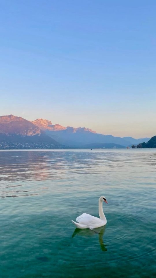 Le canal du Vassé au printemps 🌸
Annecy et son lac pendant cette période, et avec le soleil, comment vous dire... 🌷☀️
Tu souhaites découvrir cette jolie ville ? Ici, je te donne toutes les infos pour réussir ta visite (meilleure période, éviter la foule, les plus beaux spots, les hébergements les plus authentiques...)
Tu as un projet de voyage ? Contacte moi pour organiser ton week-end de rêve ! 📩
Sans stress, gain de temps, et conseils locaux !
#annecy #hautesavoie #visitfrance #organisationvoyage #travel