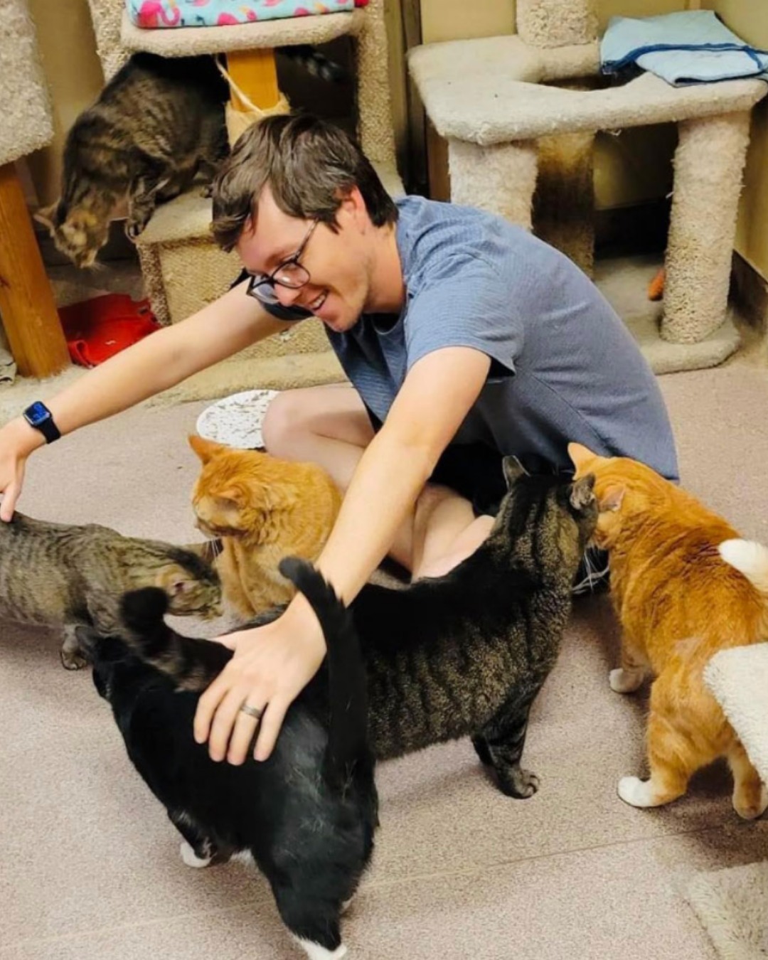 Today we’re highlighting Happy Tails Rescue, which has been helping cats find loving homes since 1993.
Their cage-free, no-kill sanctuary provides care, safety, and compassion for cats of all ages, health conditions, and backgrounds while they wait for their forever homes. Much of their work is made possible by dedicated volunteers and the support of their community.
Donate to Happy Tails here: https://www.happytails.org/donate
#rescue #happytails #shoutout #shelter #dontabandon #cats