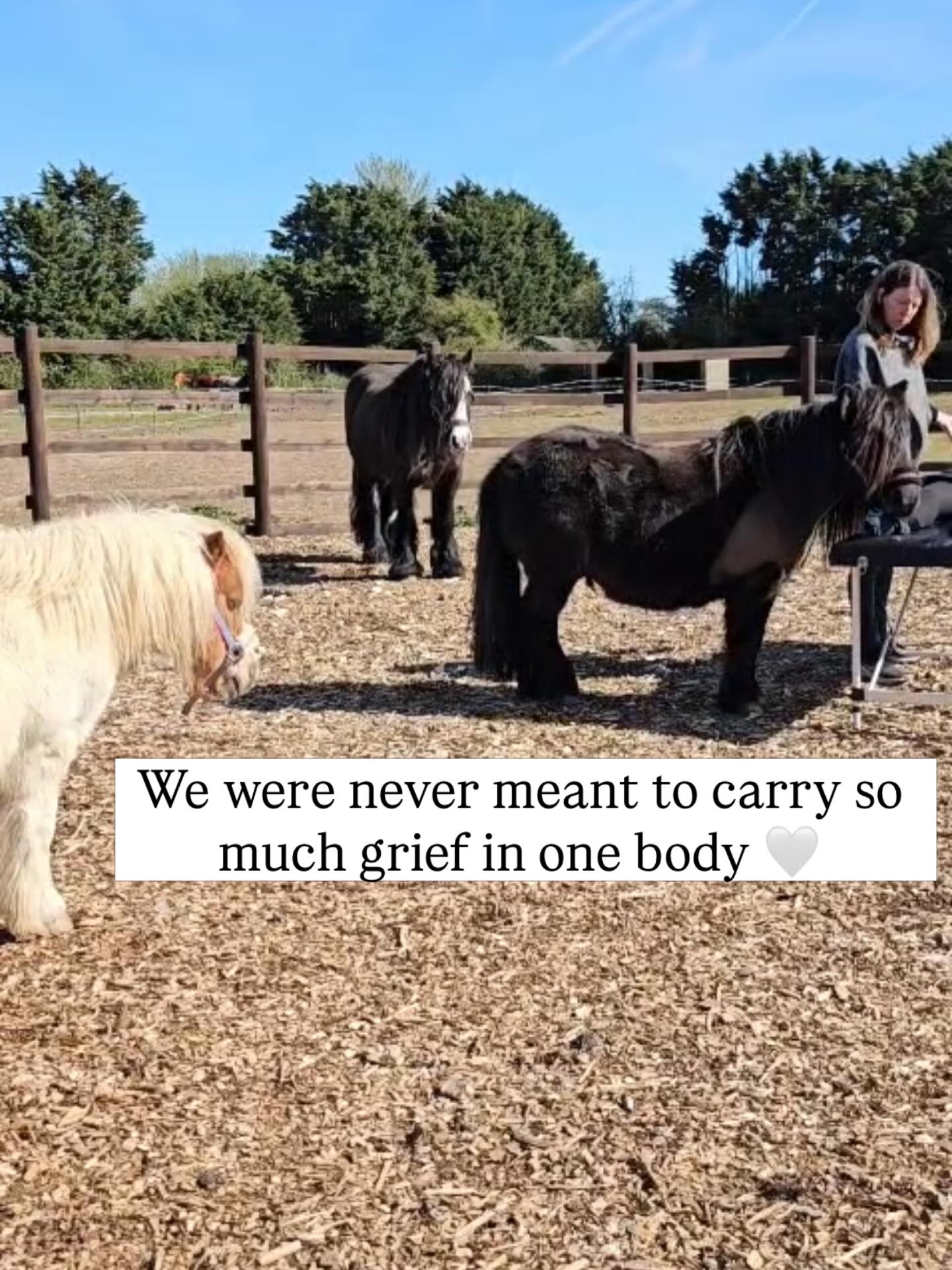 ✨
This song was on loop in my mind as I woke this morning…
A gentle, beautiful reminder:
we were never meant to carry so much grief in one body.
And yet, so many of us do.
I see it… I feel it…
the weight of what’s been held, unspoken, unprocessed, and tucked away.
The body carries it all — and over time, that holding becomes heavy… painful… exhausting.
But there is something else here too.
In the depths of that pain,
when we choose — even gently — to turn inward,
to witness what is there without running…
and to meet it with love rather than resistance…
Something begins to shift.
The body softens.
The breath deepens.
The tears come — not as weakness, but as release.
Energy that has been held, sometimes for years,
begins to move… to unravel… to be felt and freed.
Because grief, as heavy as it is,
is not meant to be locked inside the body.
It’s meant to be honoured… expressed…
and slowly, tenderly… moved through.
Not rushed.
Not fixed.
Not pushed away.
But allowed.
For many, grief doesn’t simply disappear —
it becomes something we learn to live alongside.
But there is a difference between living with grief…
and carrying it all alone, all at once, within the body.
You don’t have to hold it all. 🤍